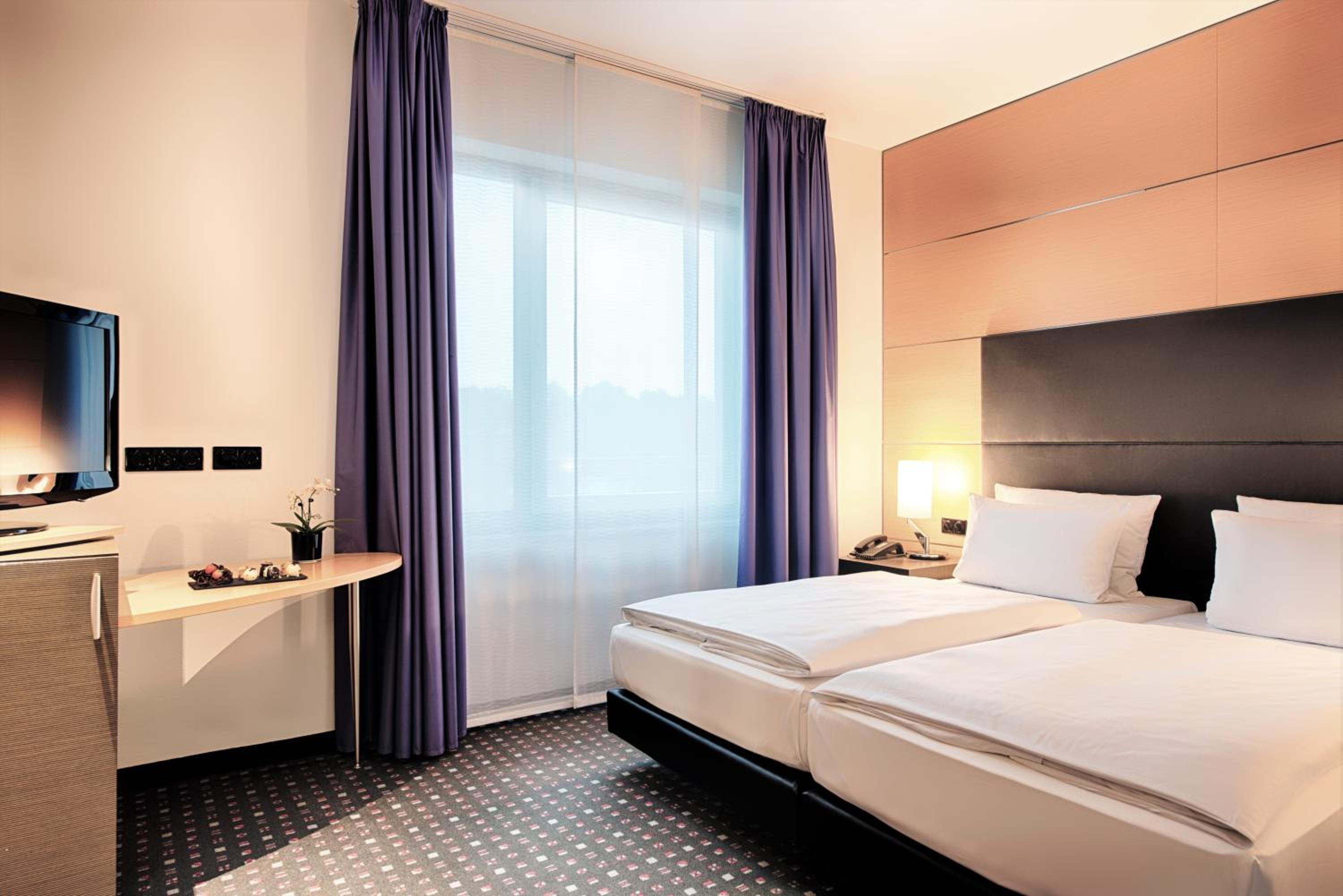 Suite - Photo 2