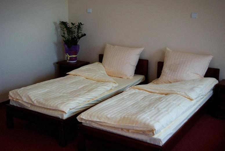 Double or Twin Room photo 2