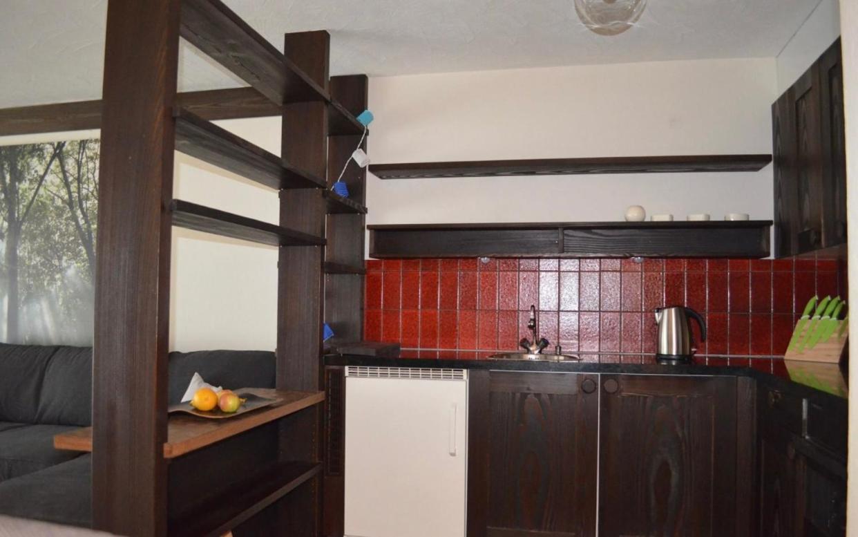 One-Bedroom Apartment - Photo 3