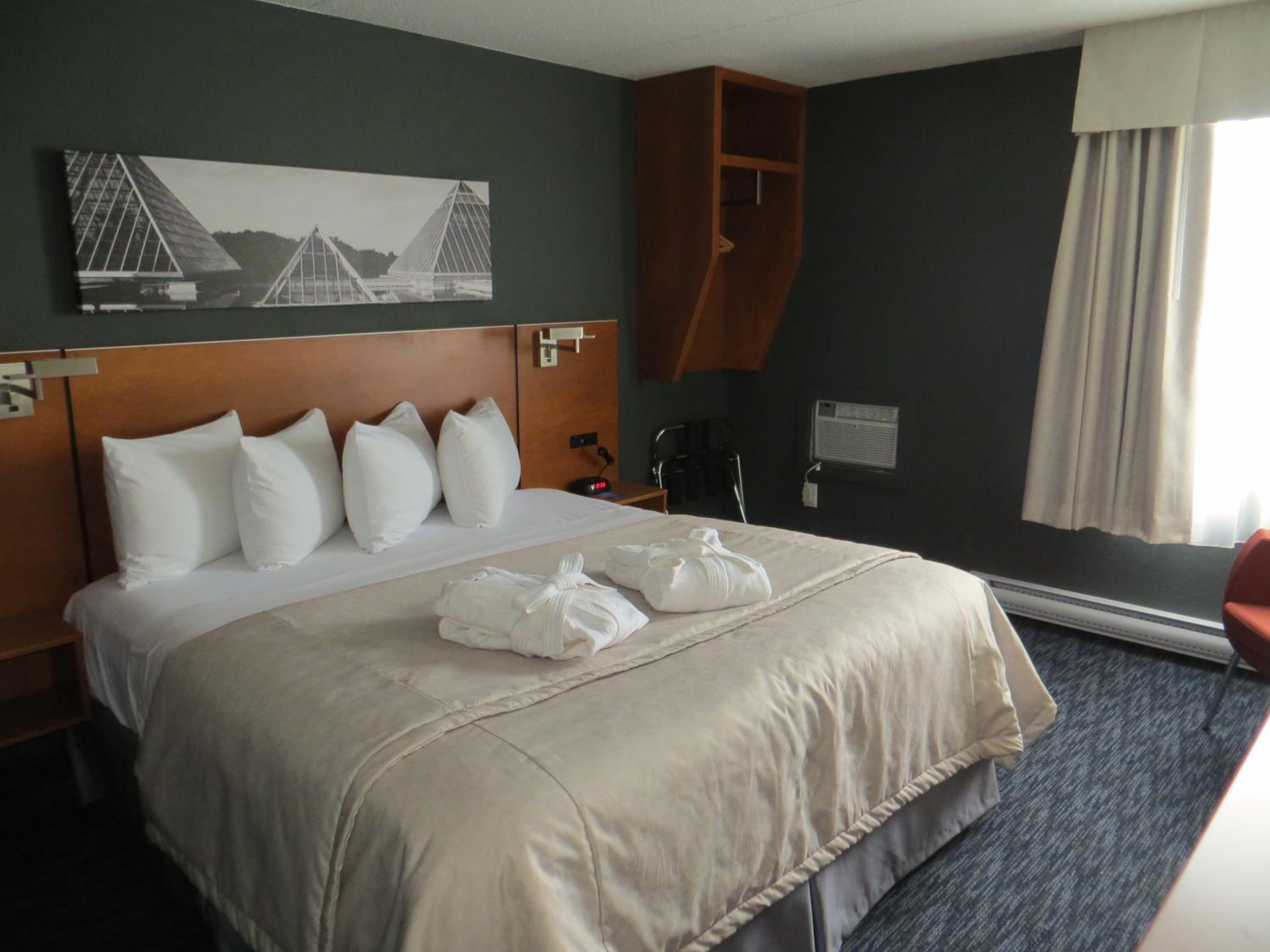 Deluxe King Suite - Non-Smoking - Photo 2