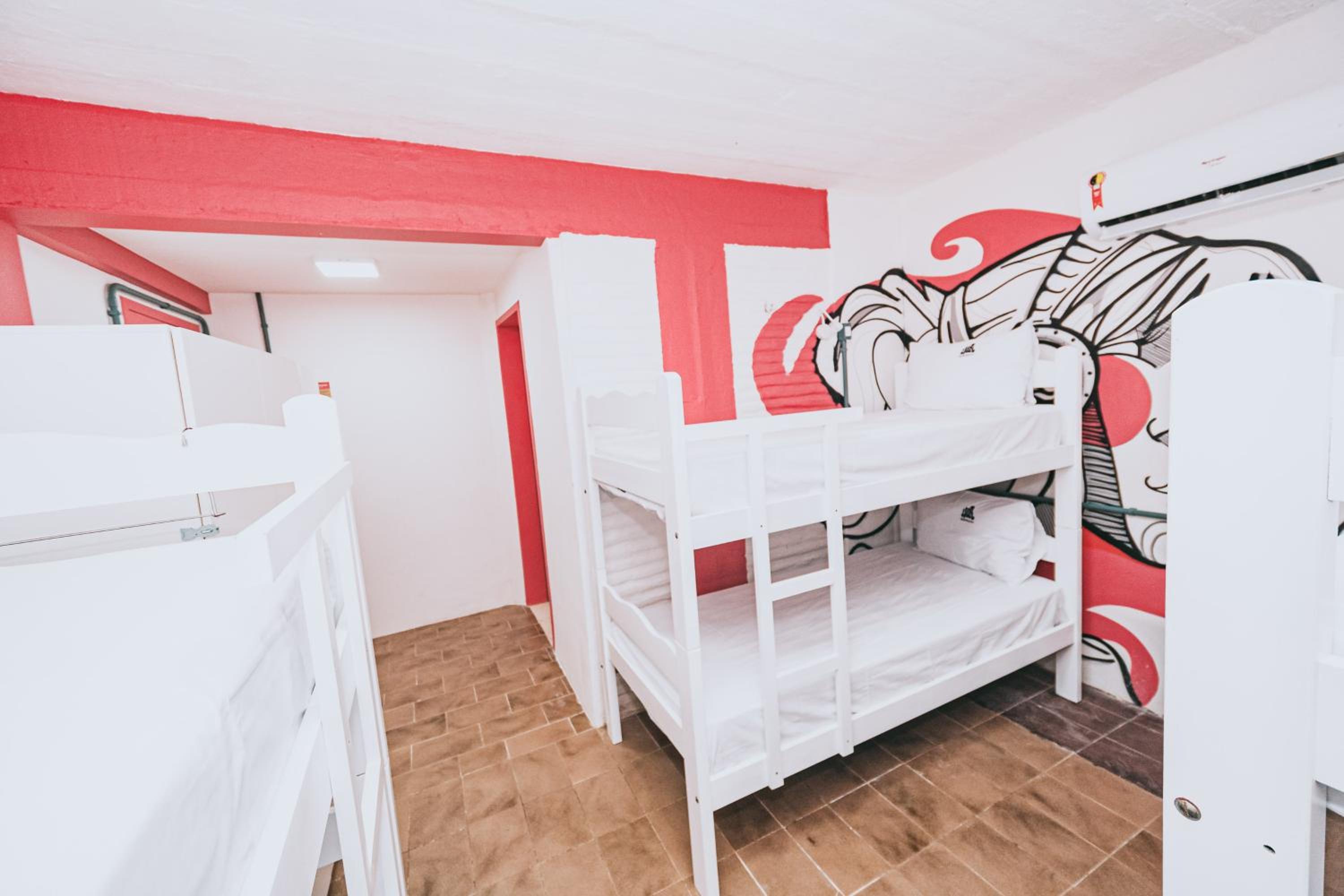Bed in 6-Bed Female Dormitory Room photo 1