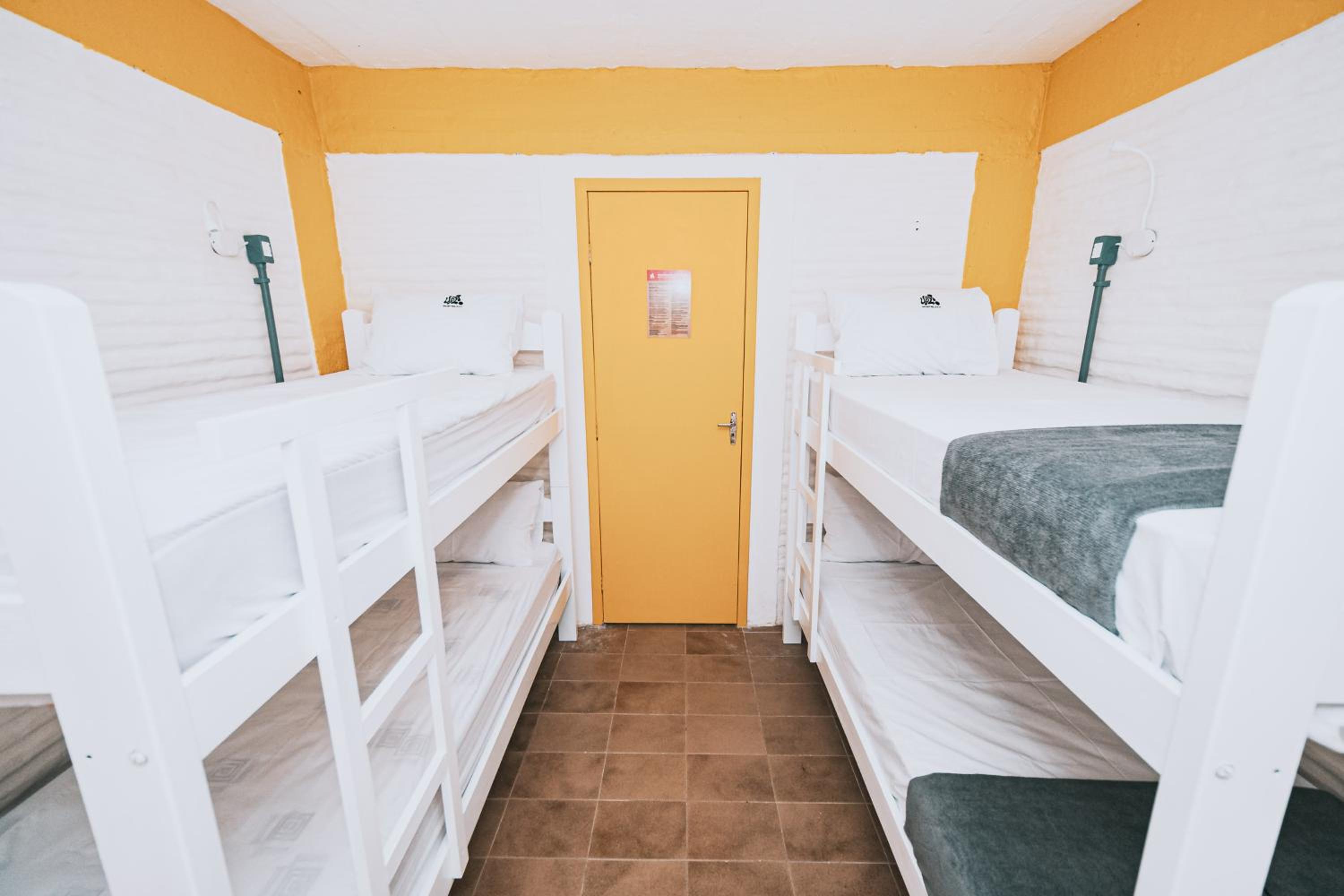 Bed in 4-Bed Mixed Dormitory Room photo 1