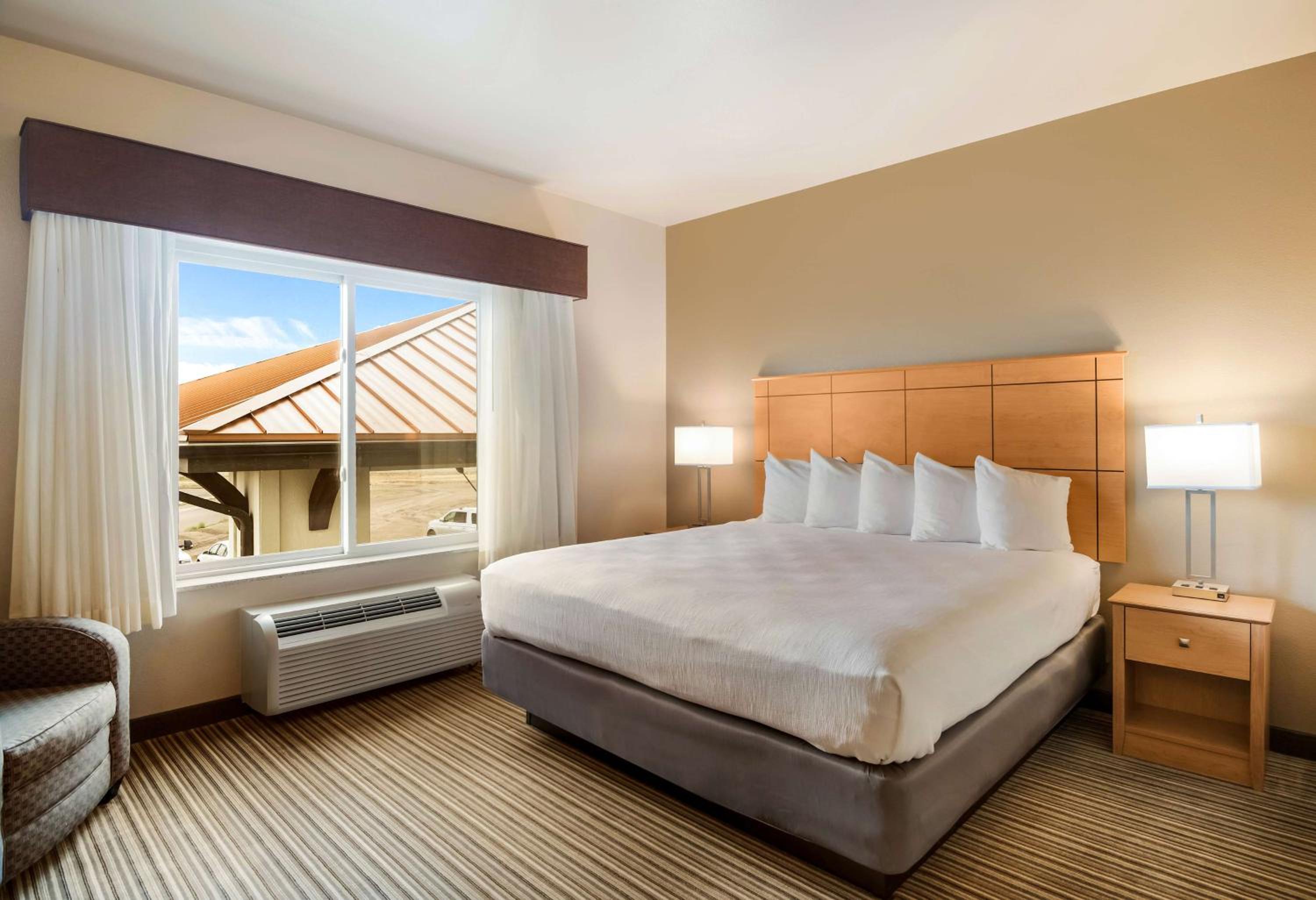 Large King Suite with Sofa Bed - Non-Smoking photo 1