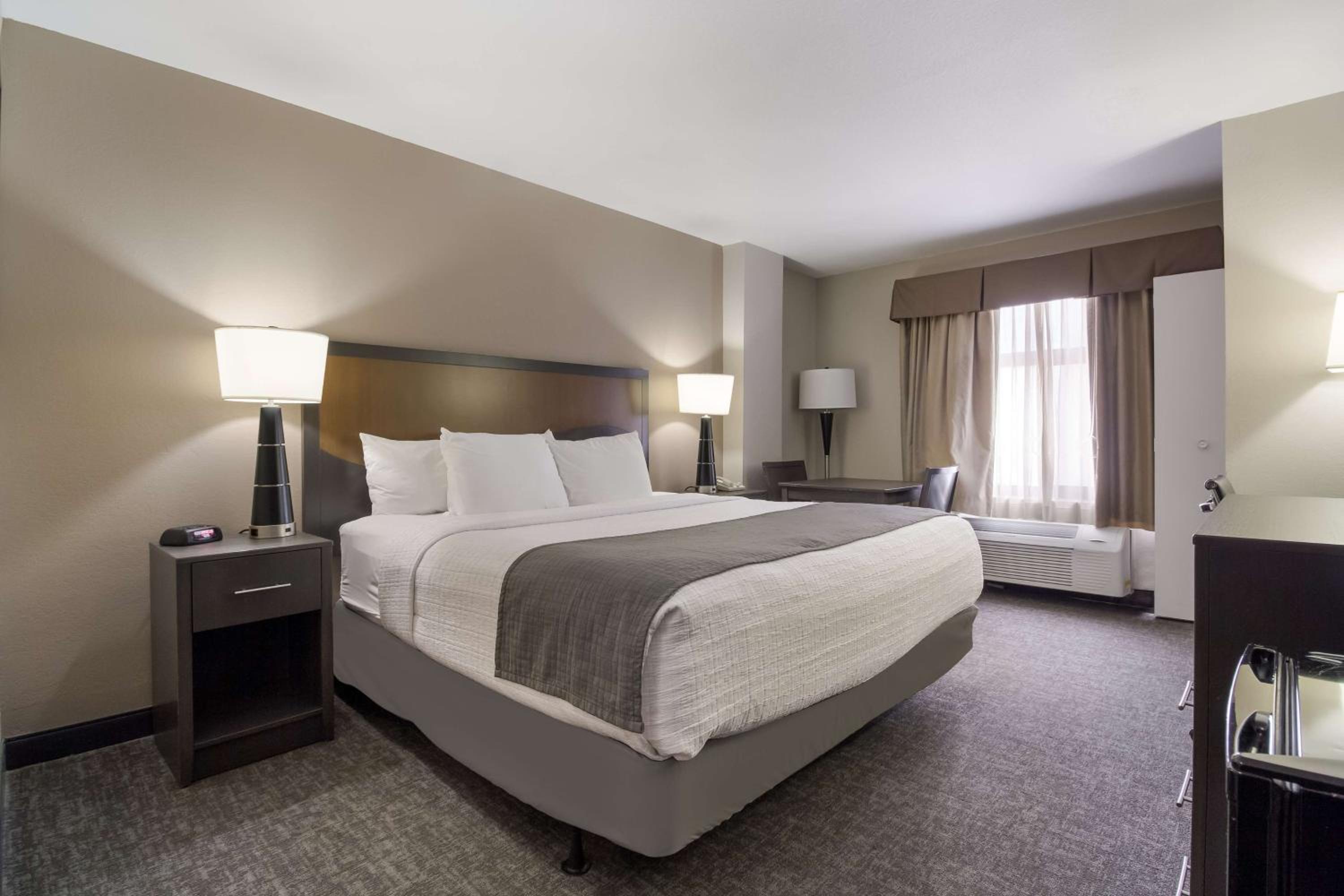 King Room With Roll-In Shower - Disability Access