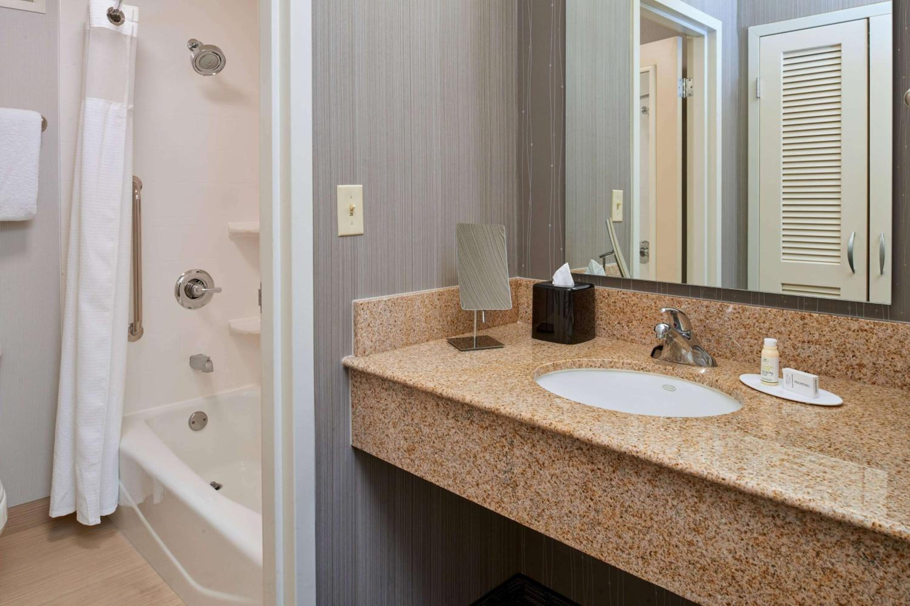One Bedroom Suite King - Photo 4