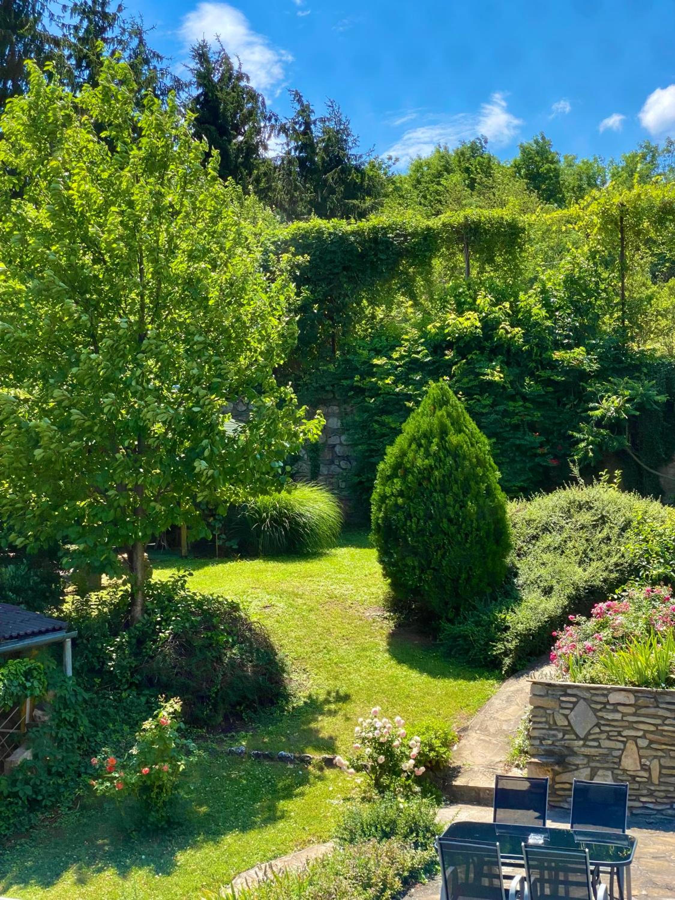 Double Room with Garden View photo 2