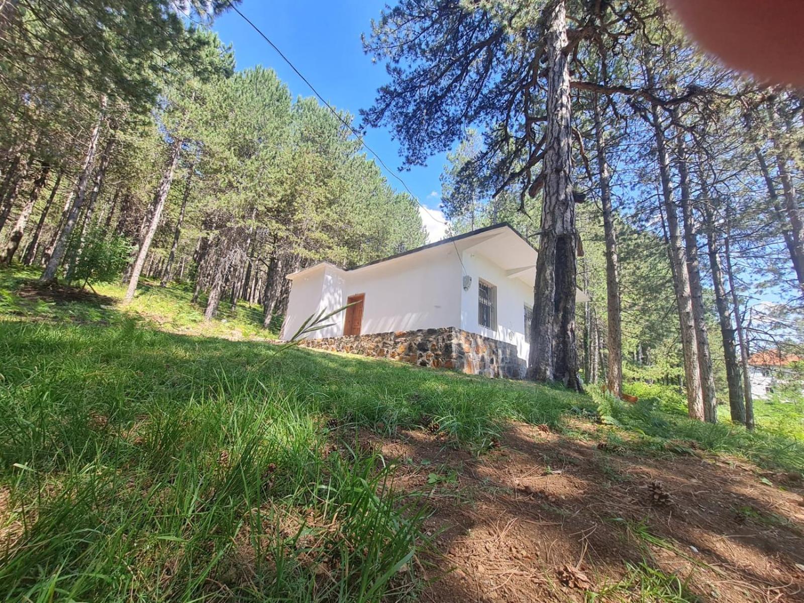 Two-Bedroom House photo 2