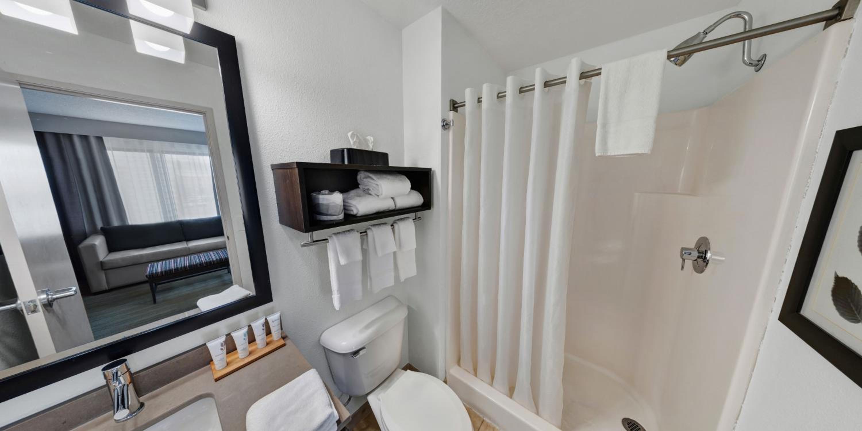 One-Bedroom King Suite - Photo 5