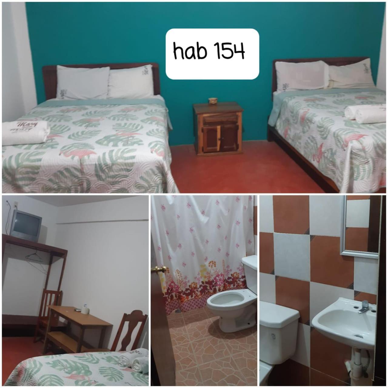 Twin Room photo 2