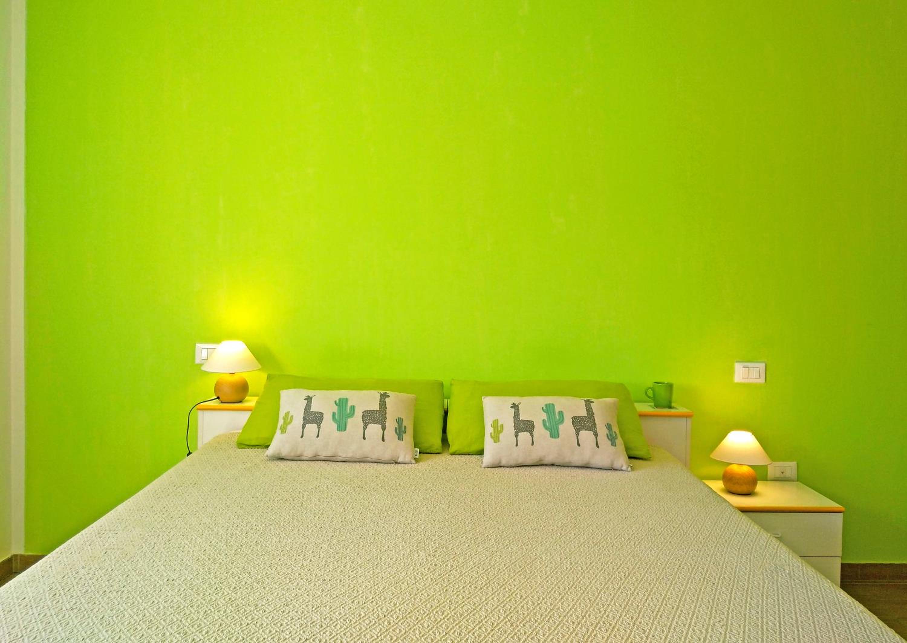 Double or Twin Room photo 3