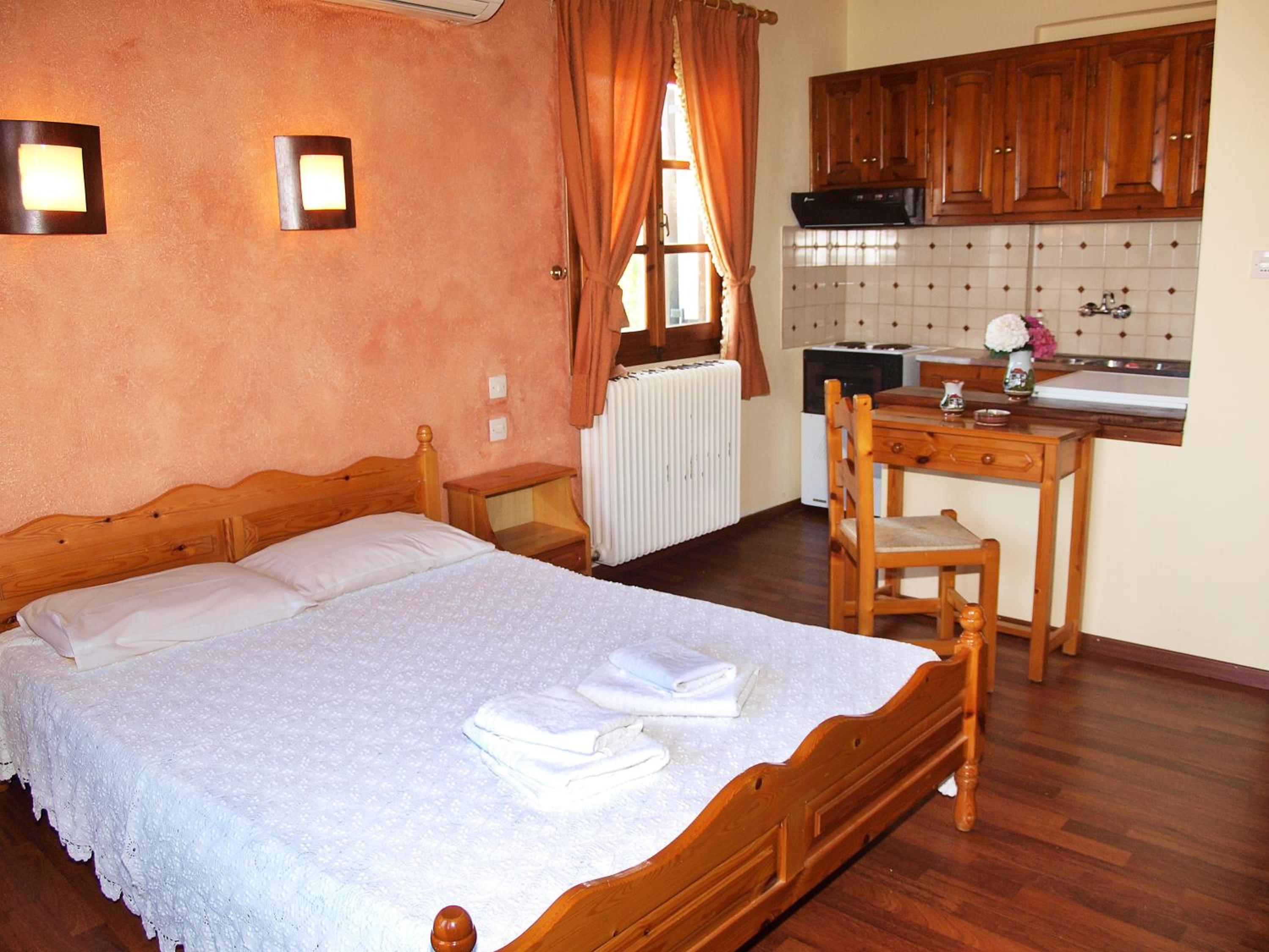Double Studio with Fireplace - Photo 4