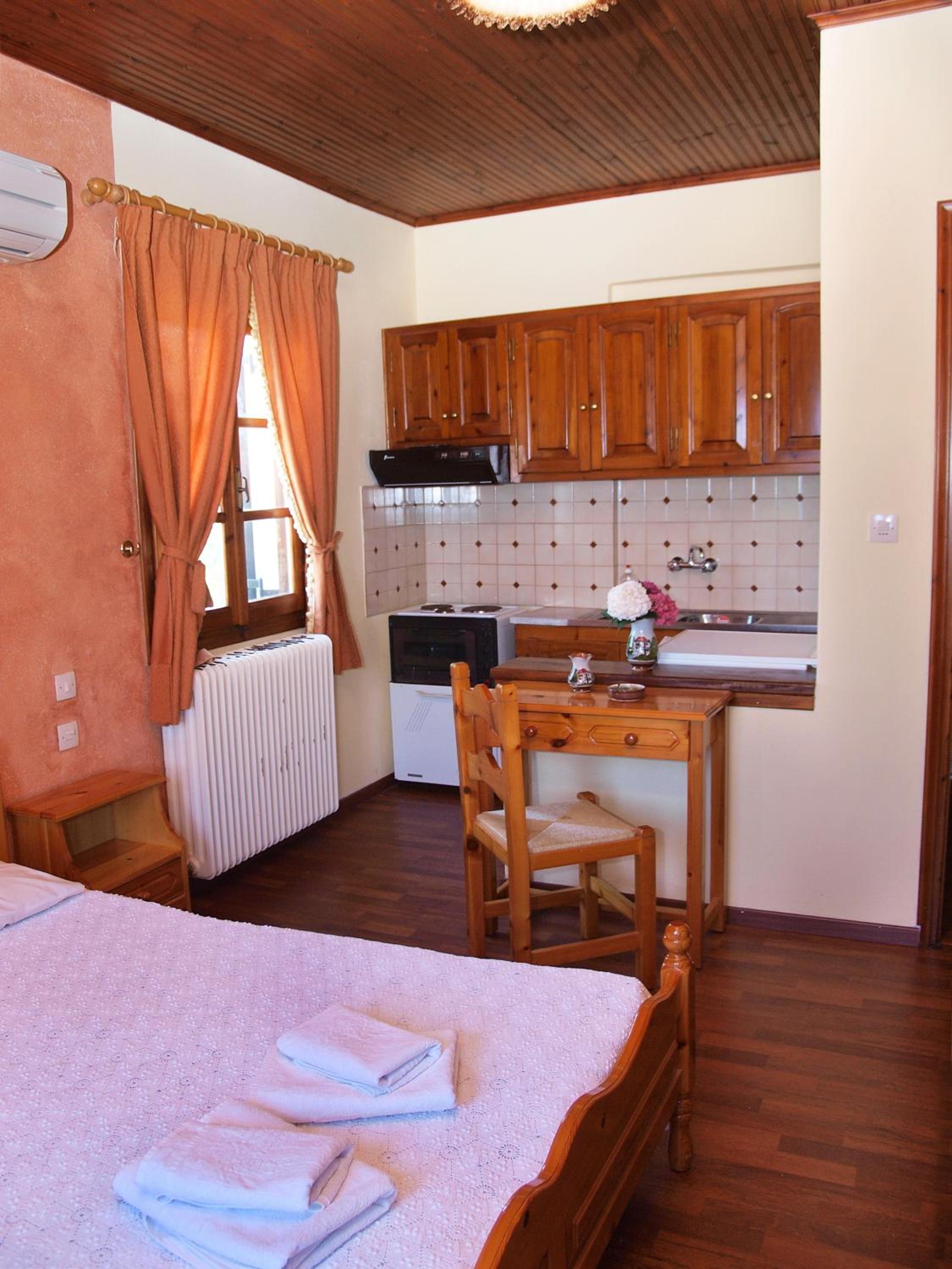 Double Studio with Fireplace - Photo 2