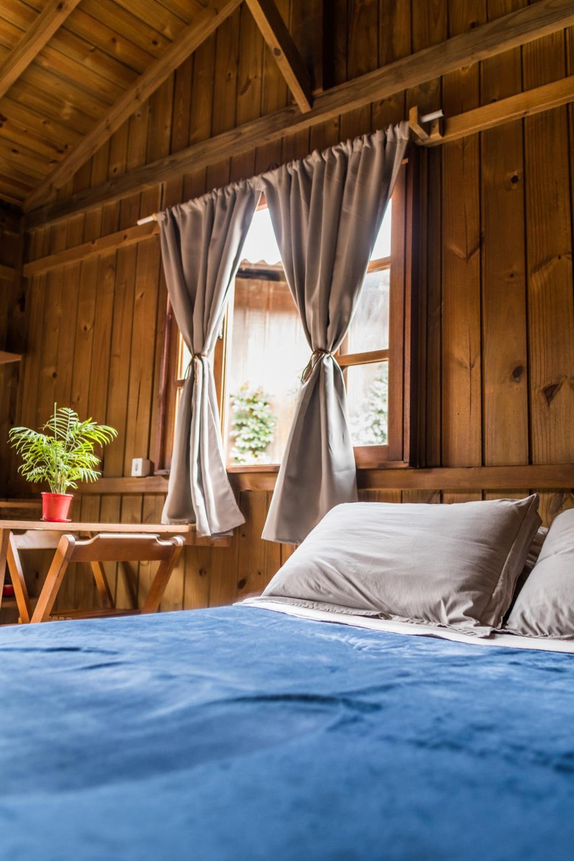 Standard Double Room - Photo 1