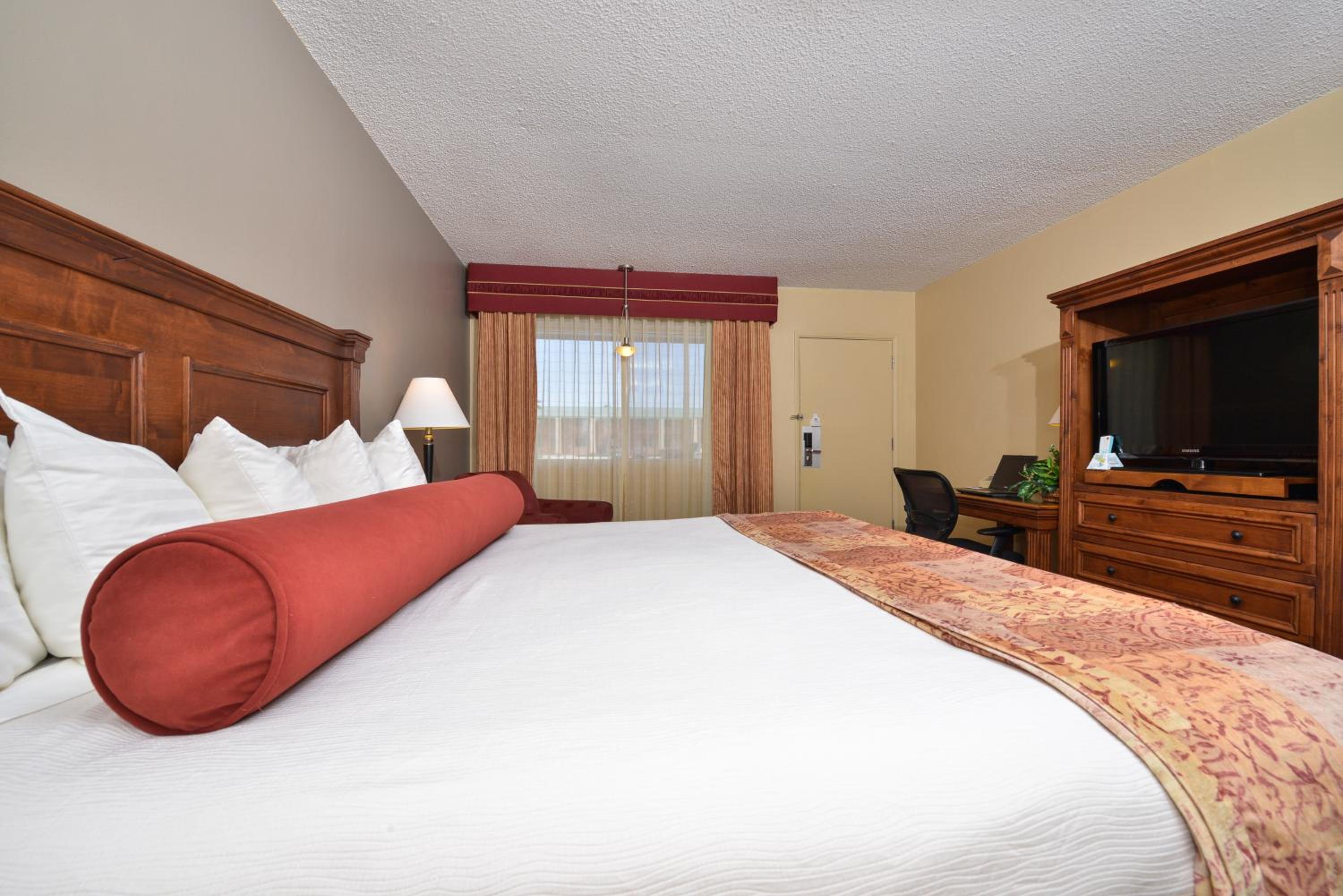 Large King Room with Sofa Bed - Non-Smoking