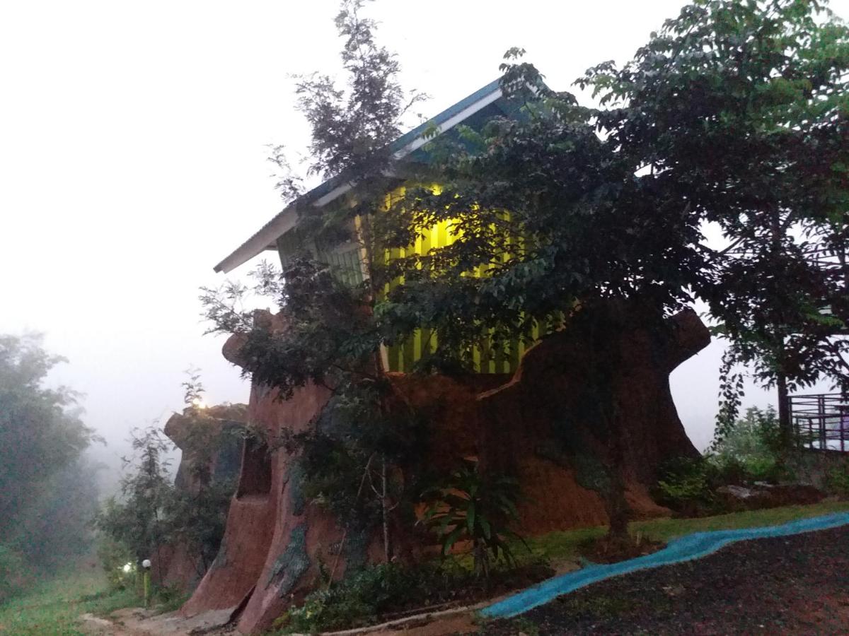 Double Room with Mountain View photo 2