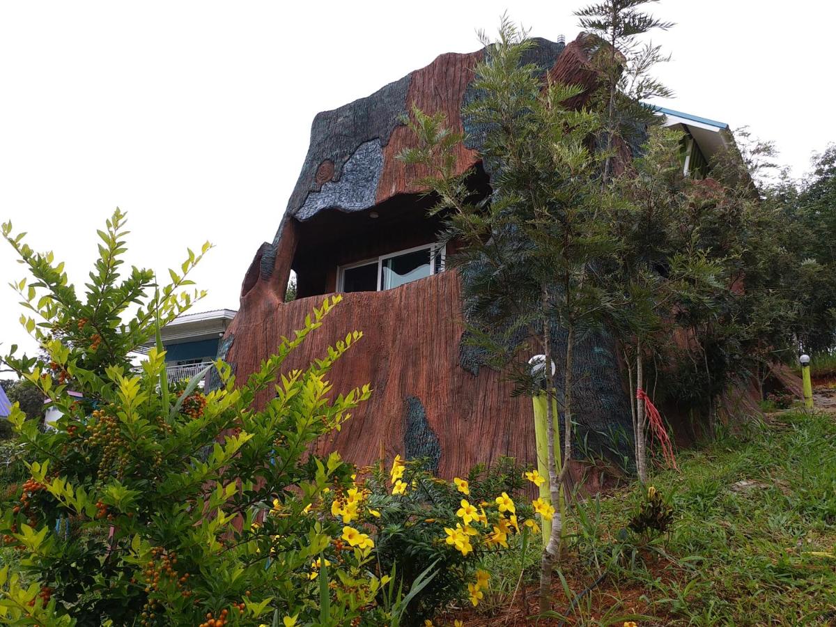 Double Room with Mountain View photo 1