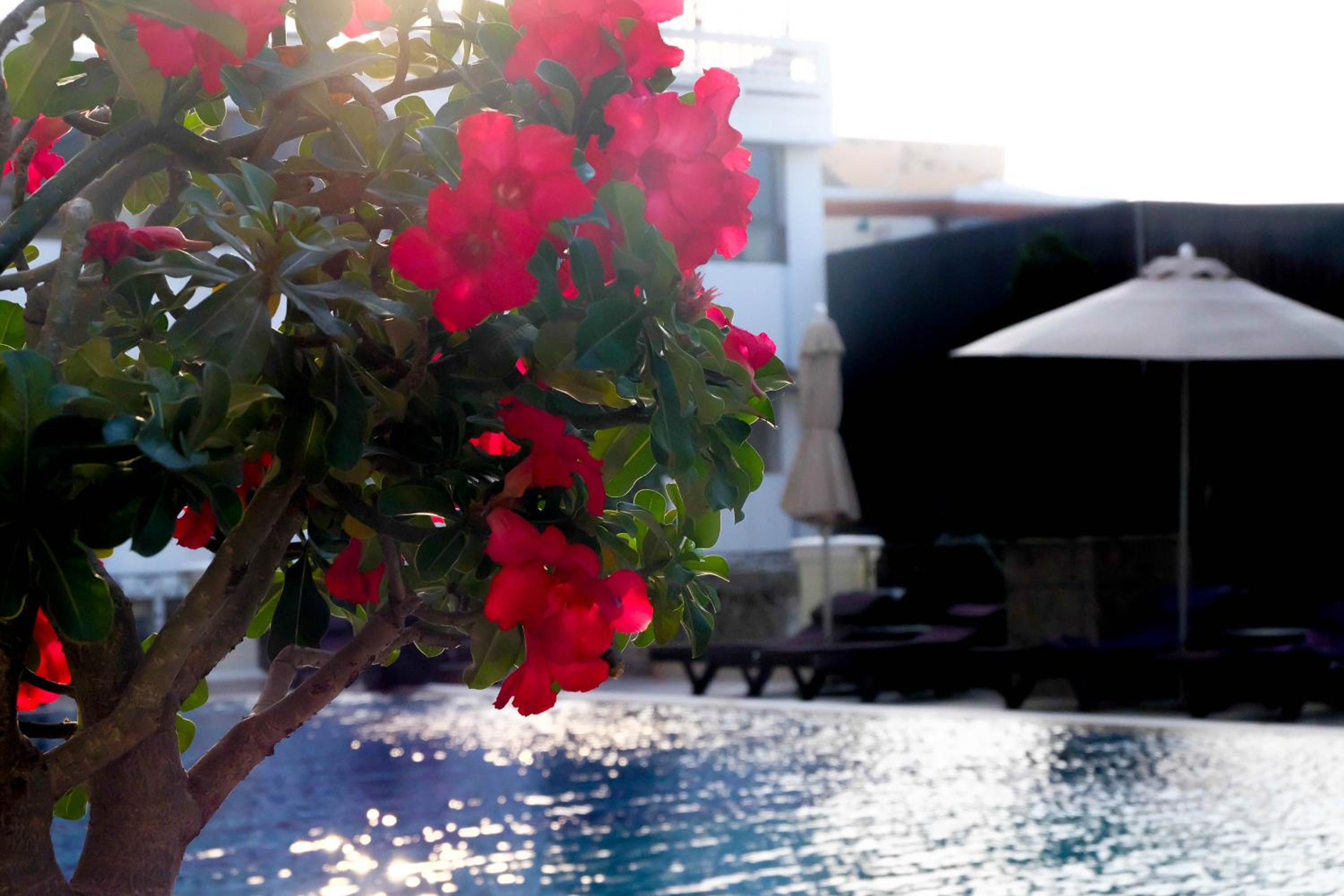 Deluxe Room with Pool View