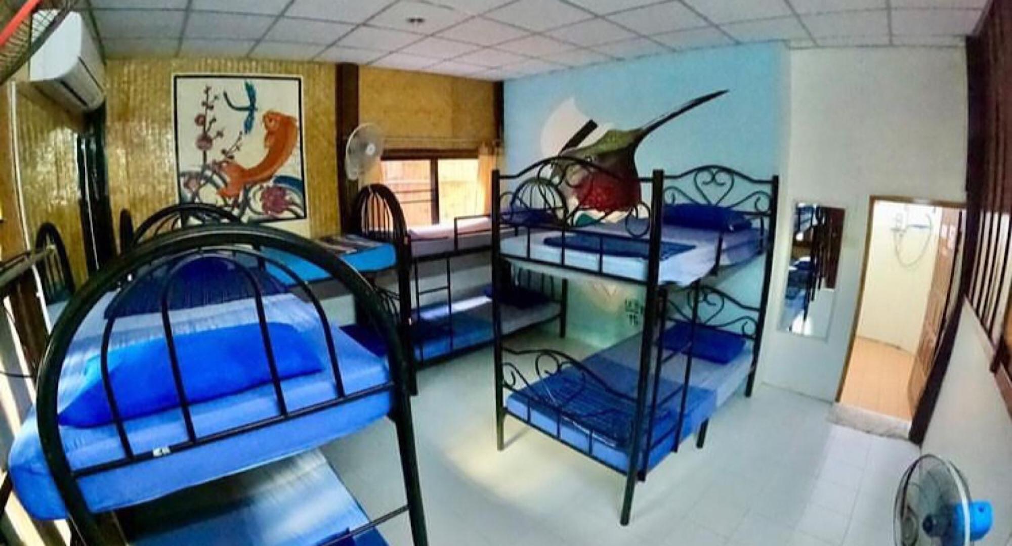 Bunk Bed in Mixed Dormitory Room photo 2