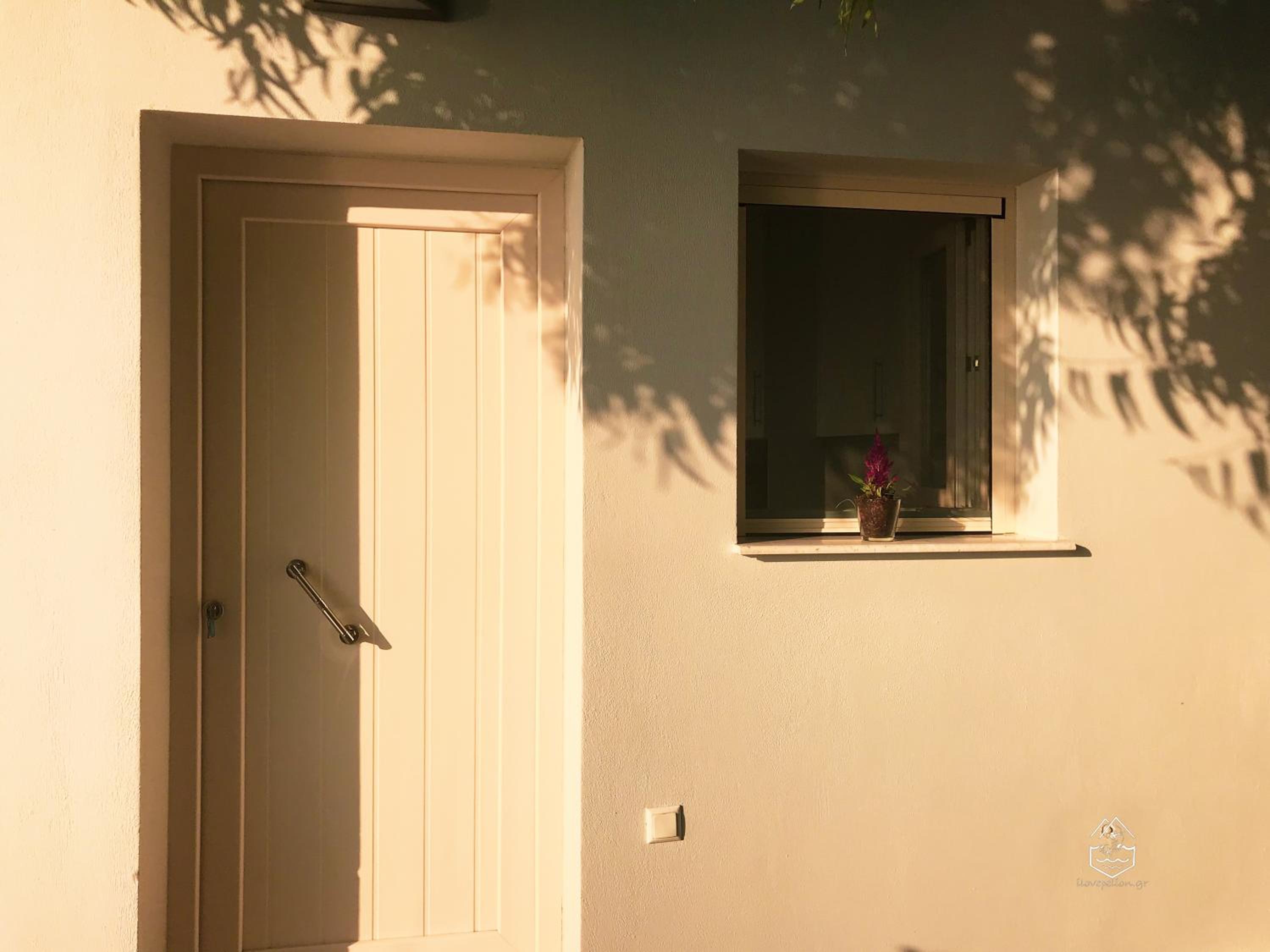 One-Bedroom House photo 2