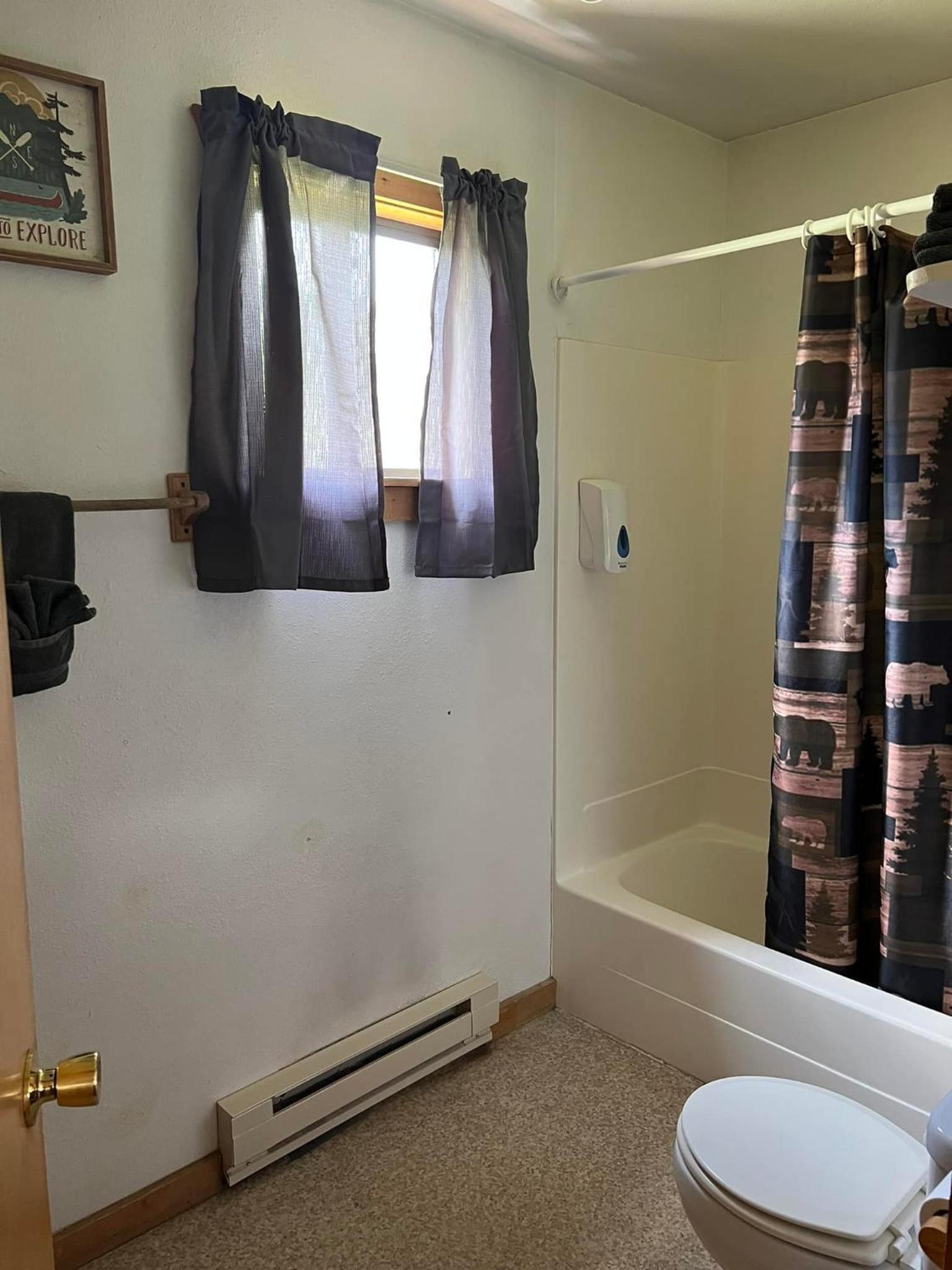 Three-Bedroom Chalet photo 2