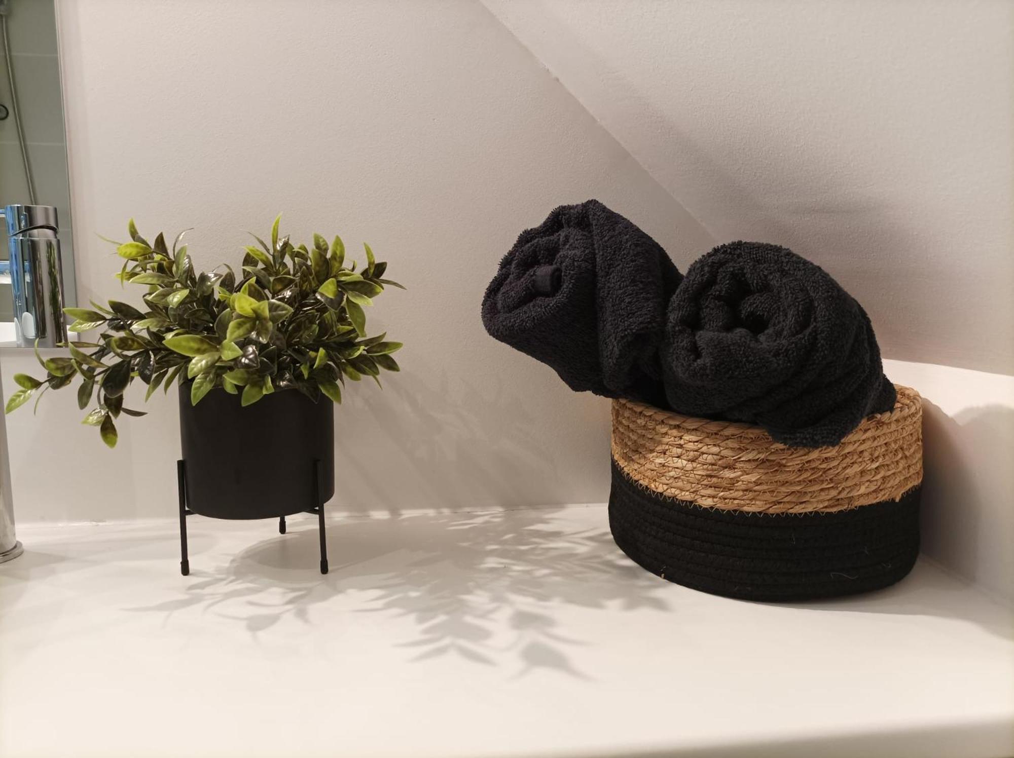Standard Studio - Photo 16