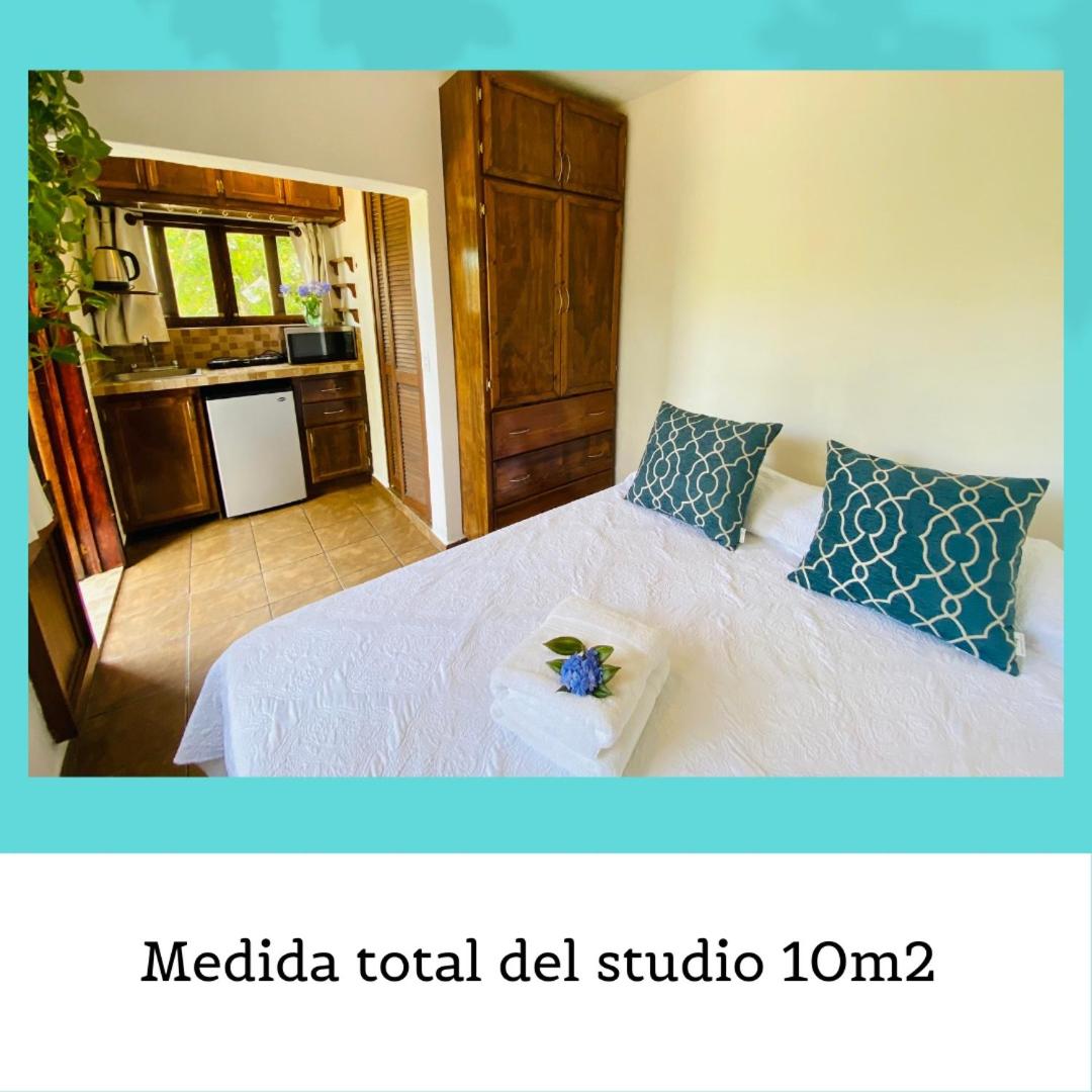 Standard Studio - Photo 9