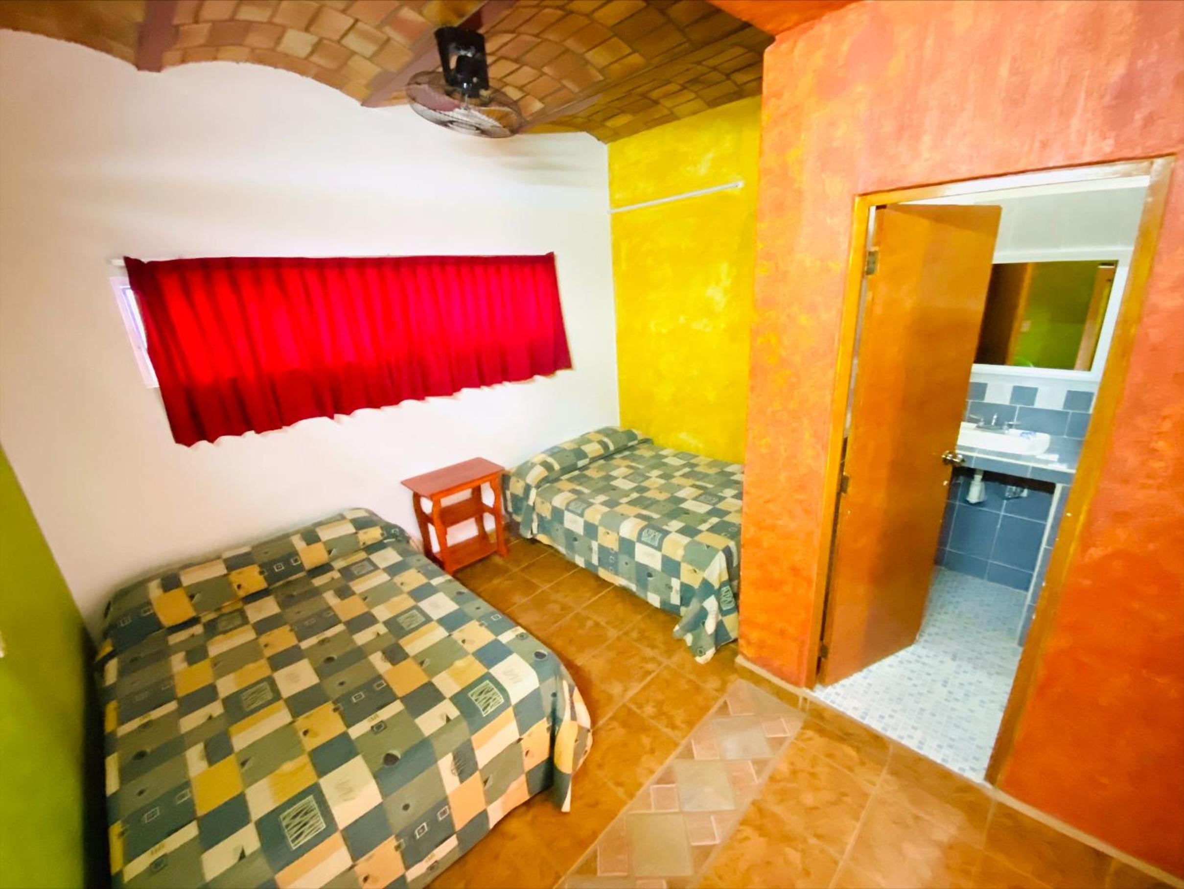 Twin Room photo 1
