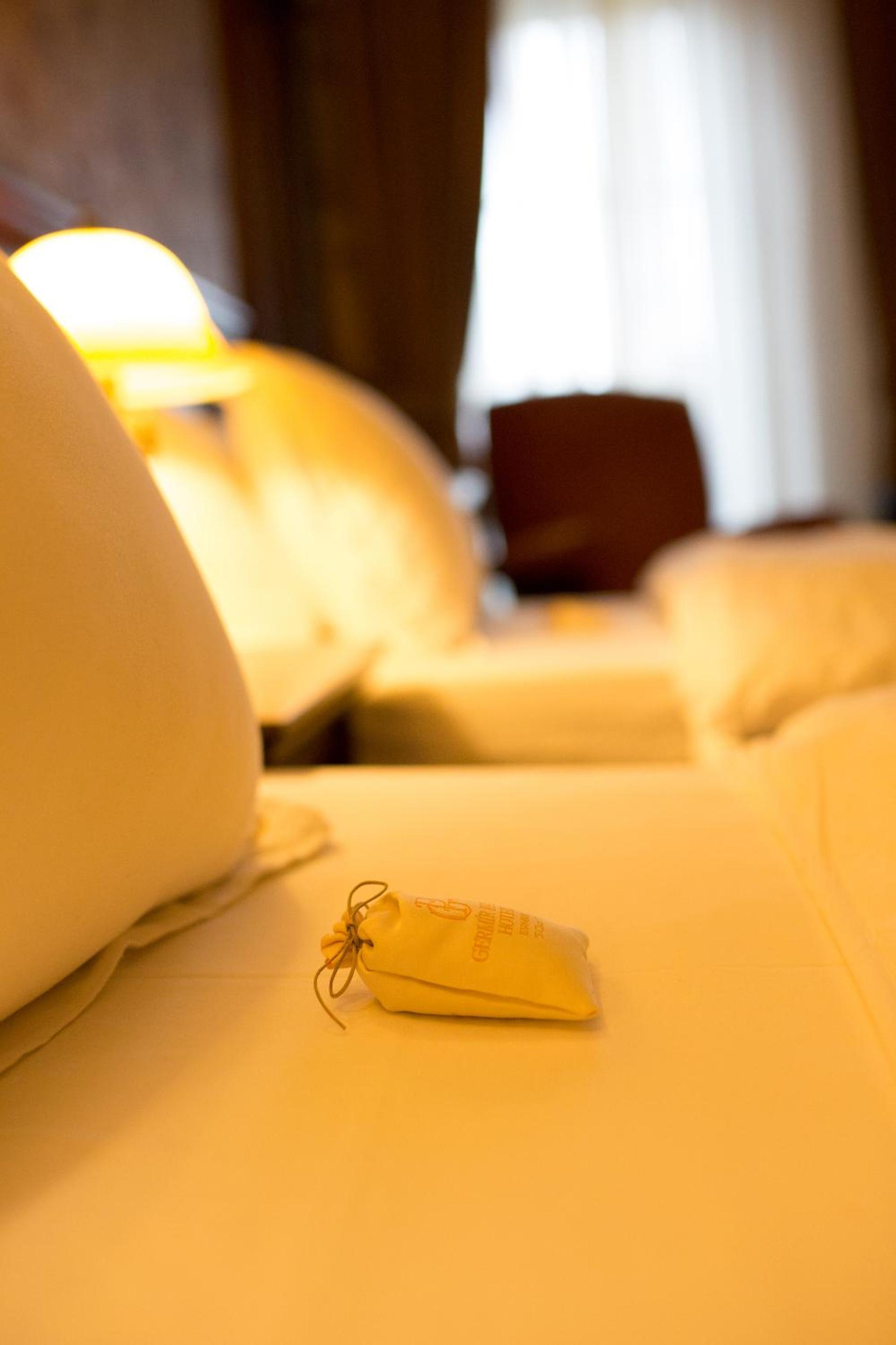 Deluxe Twin Room with Bosphorus and Park View