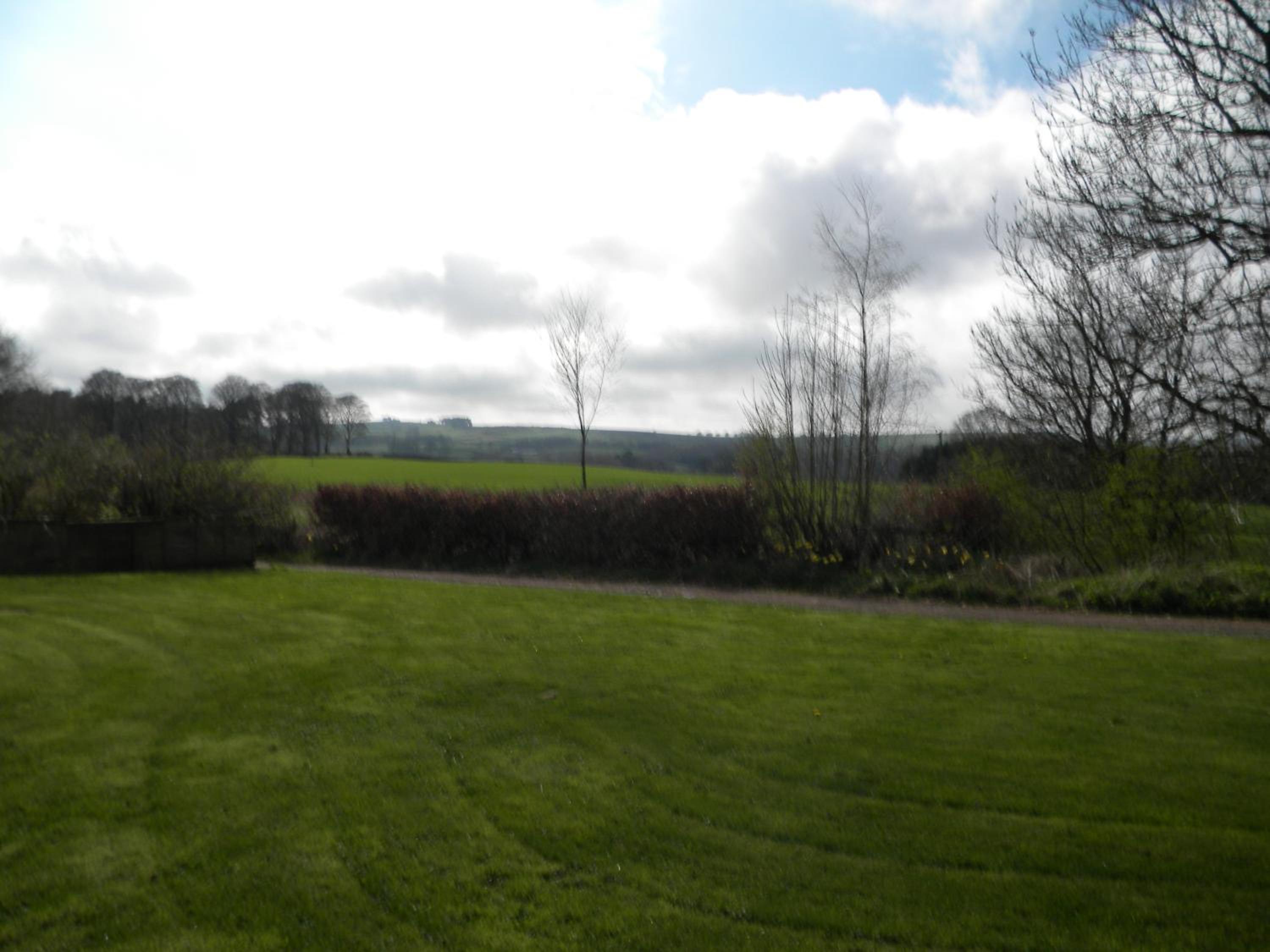 Red Squirrel Cottage photo 2