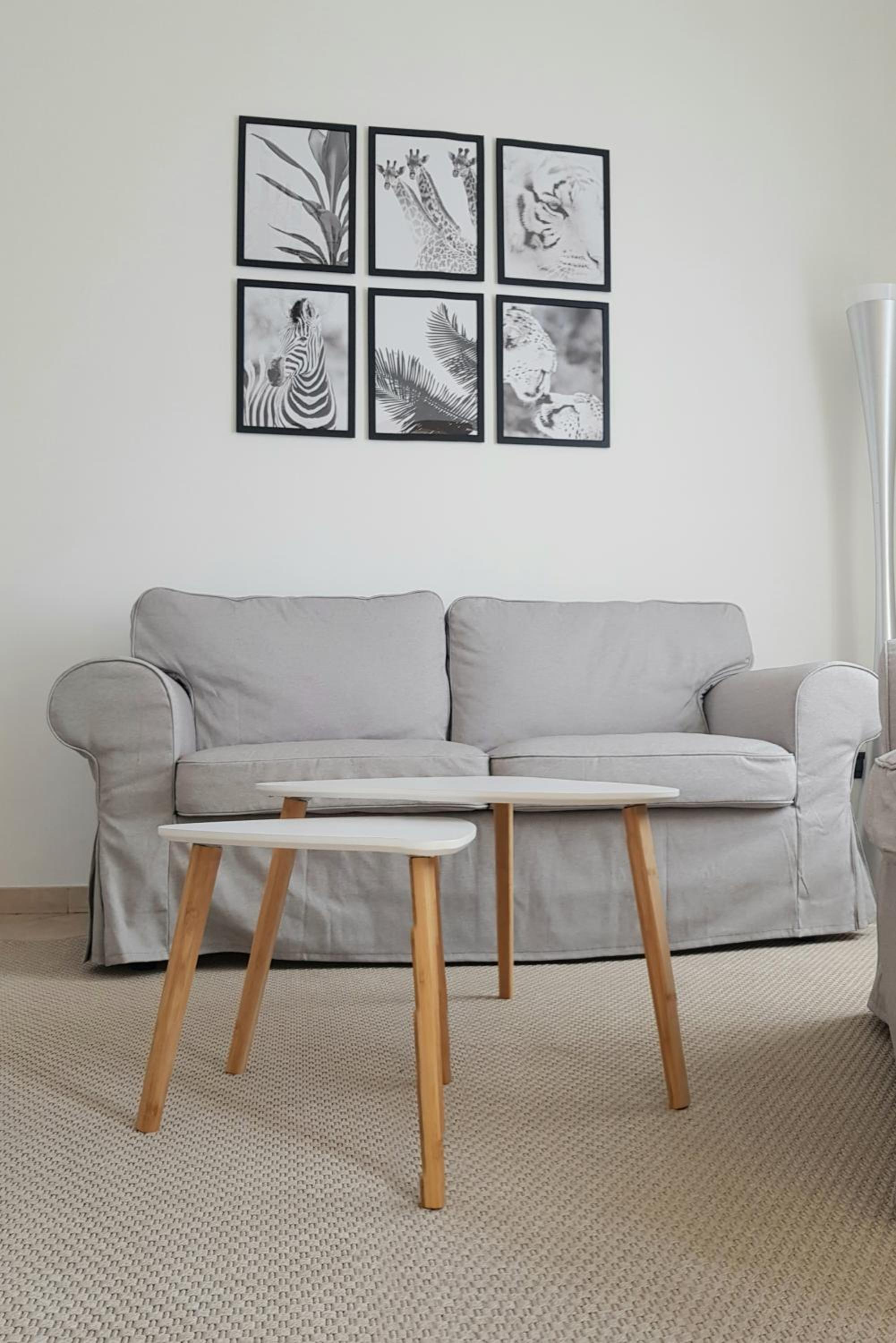Apartment with Terrace photo 1