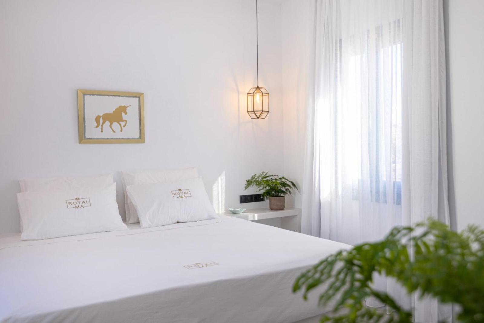 Suite - Photo 2