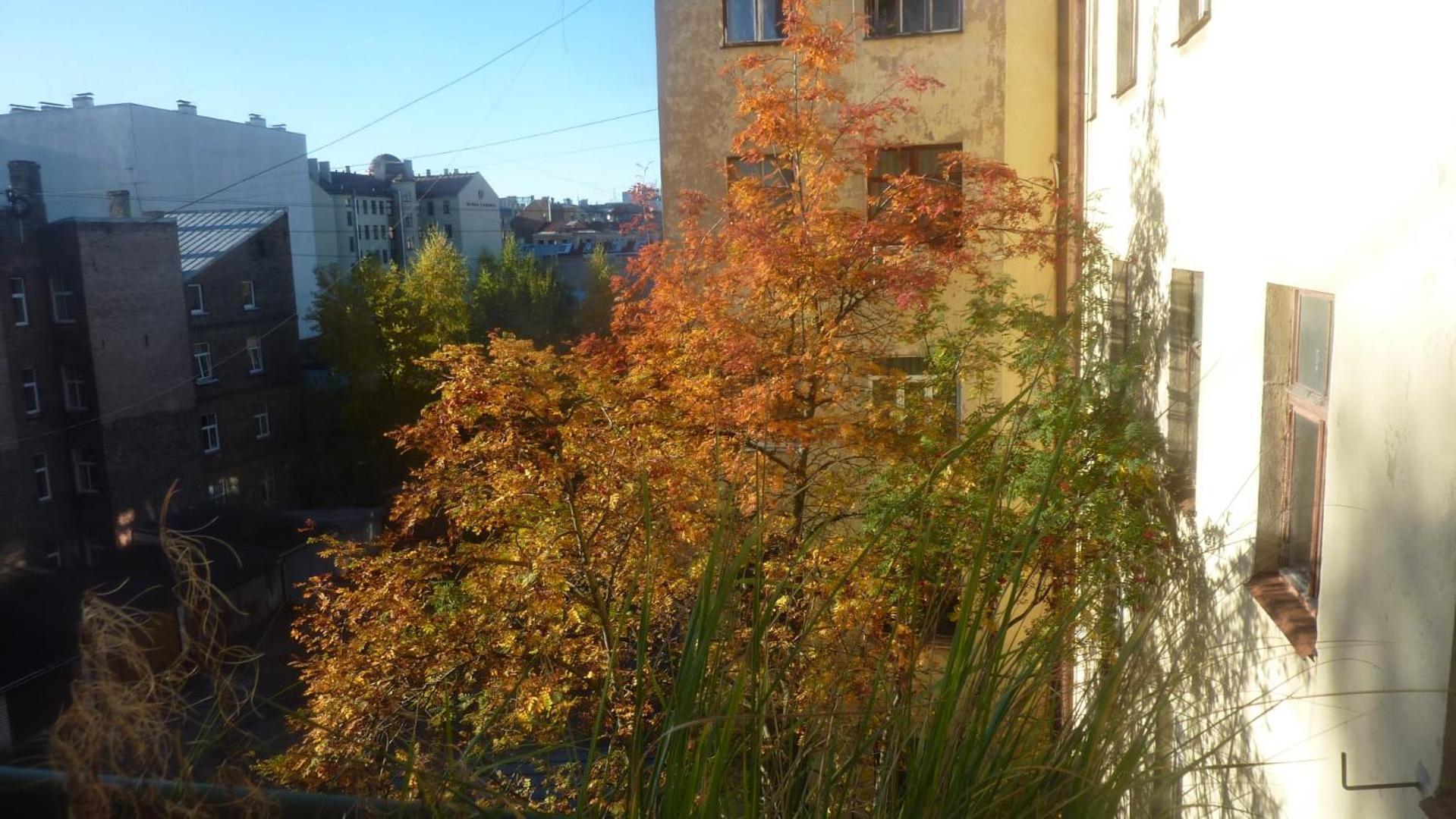 Studio Apartment - Photo 2
