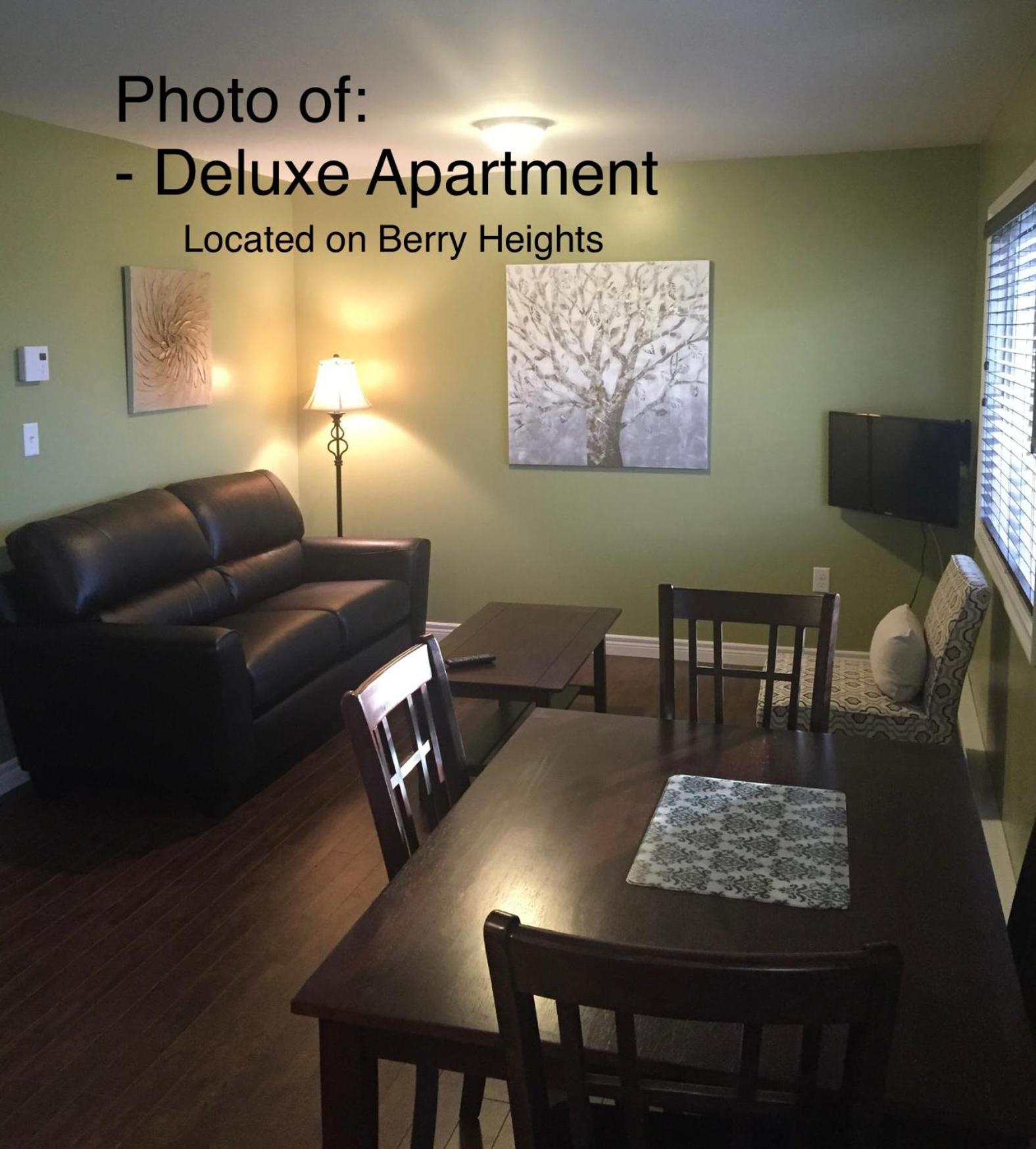 Deluxe Apartment