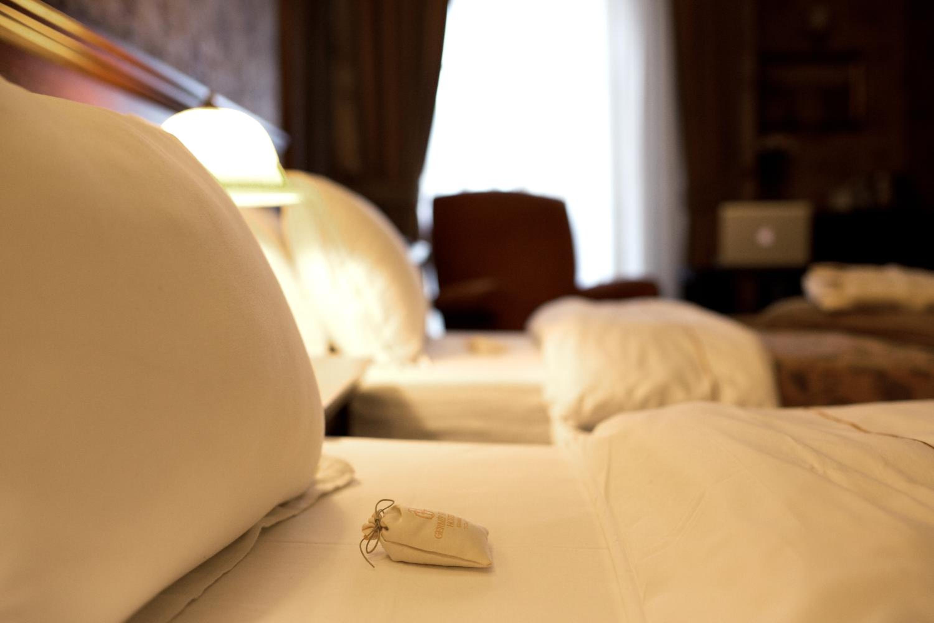 Deluxe Twin Room with Bosphorus and Park View photo 2