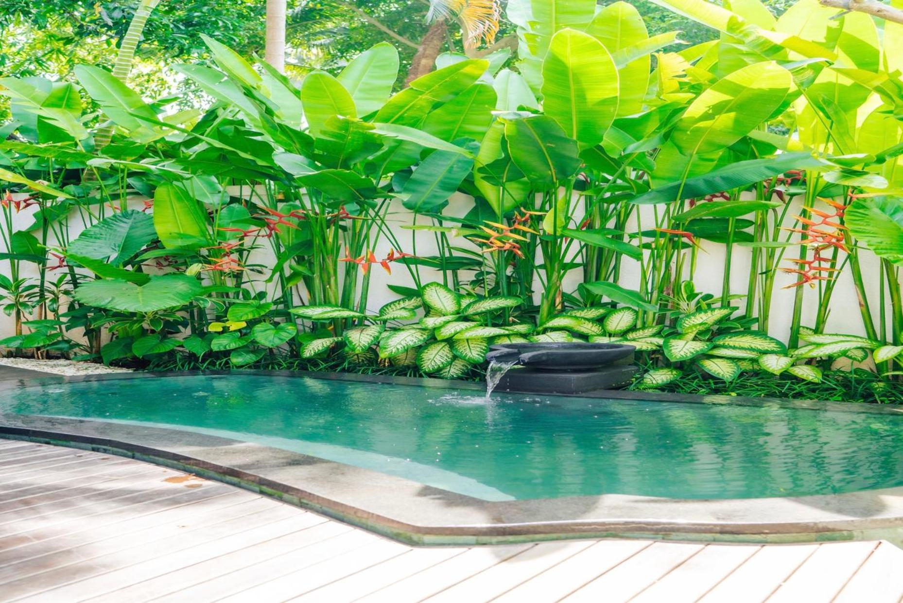 Vata - One Bedroom Garden Villa Heated Plunge Pool & Steam - Photo 18