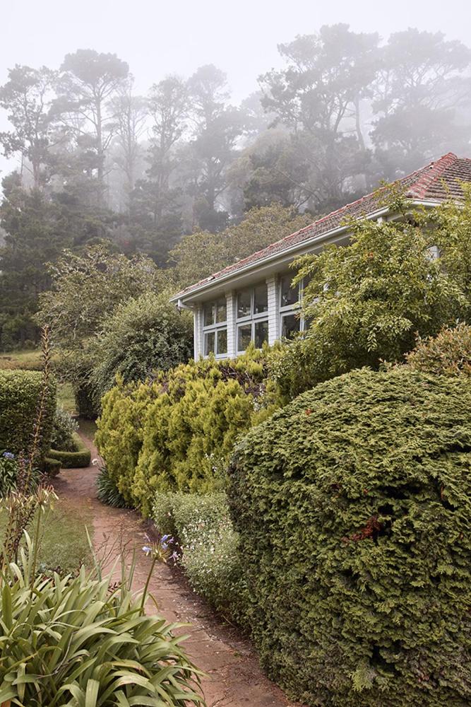 Premier Garden Terrace photo 3