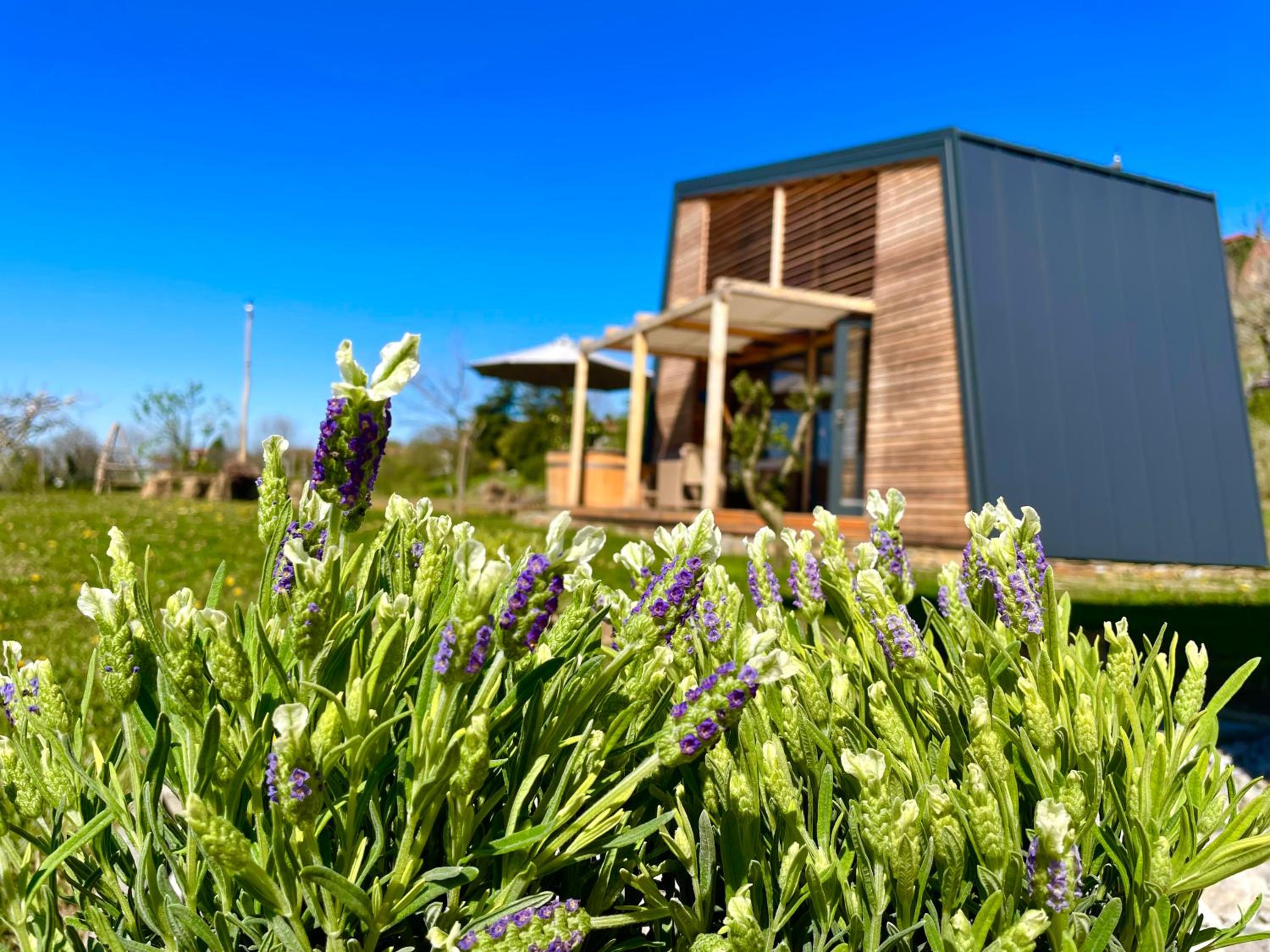 Vacation Home photo 2