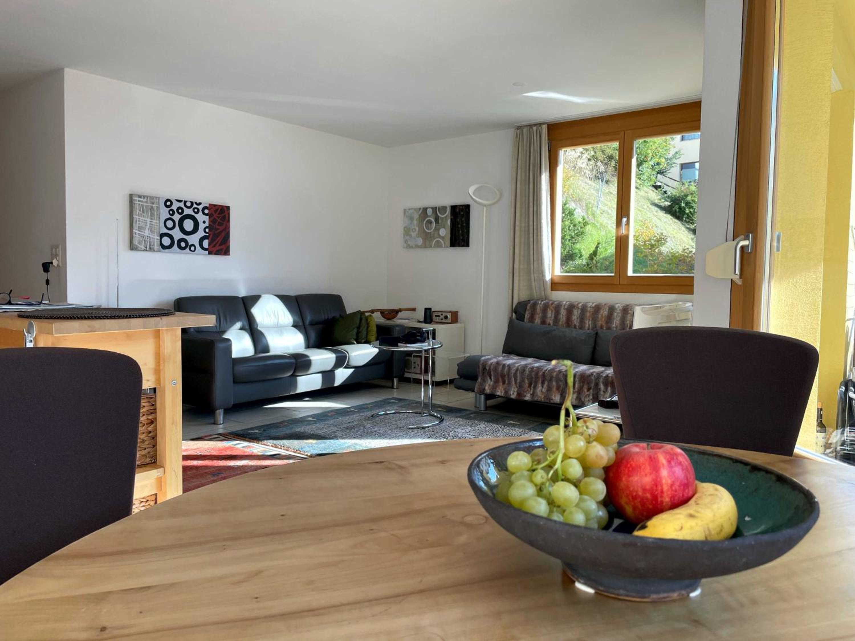Apartment with Mountain View photo 3