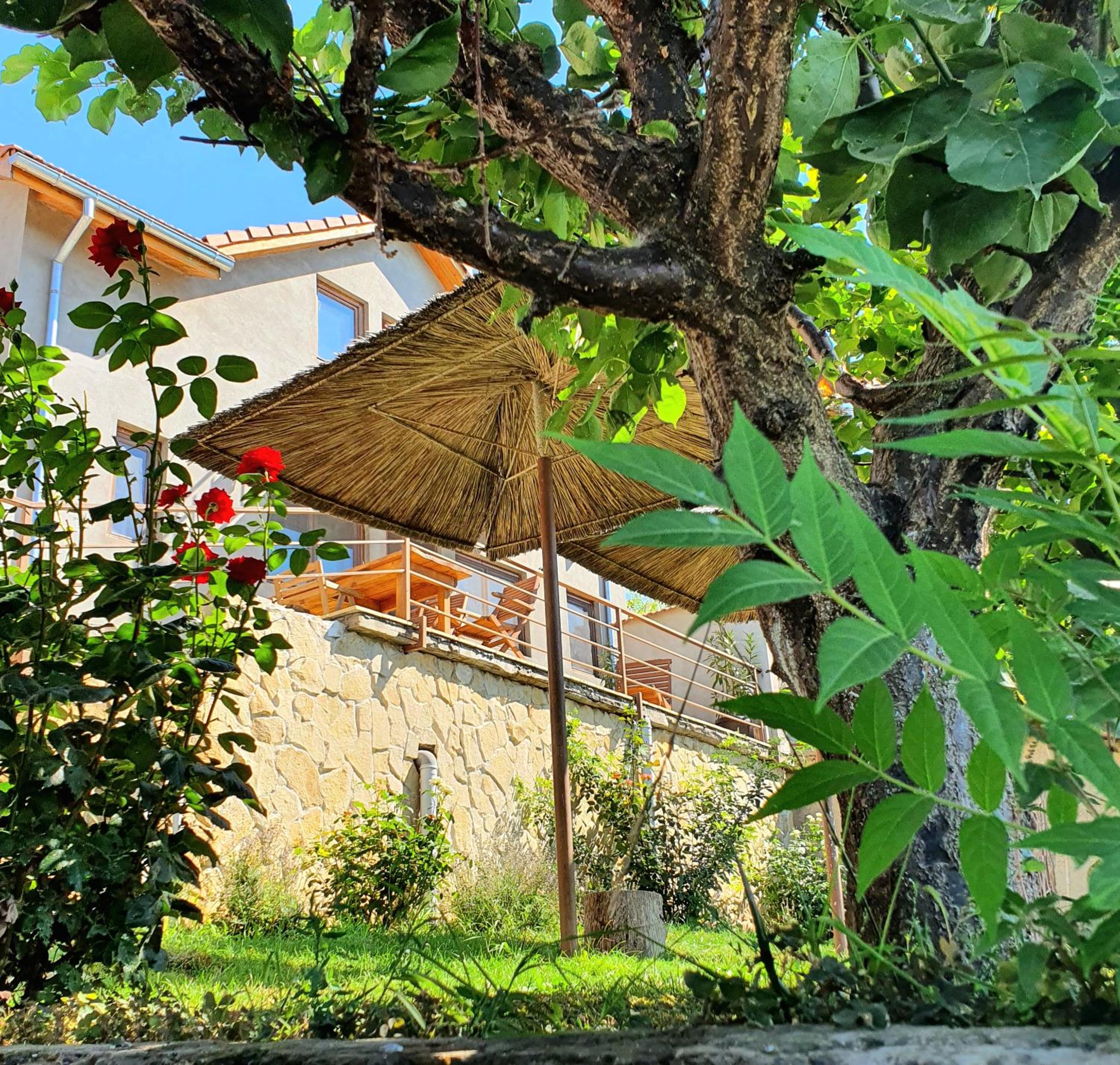 Holiday Home photo 3
