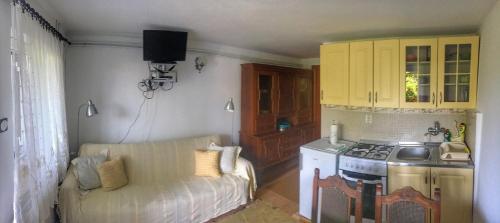 One-Bedroom Apartment photo 3
