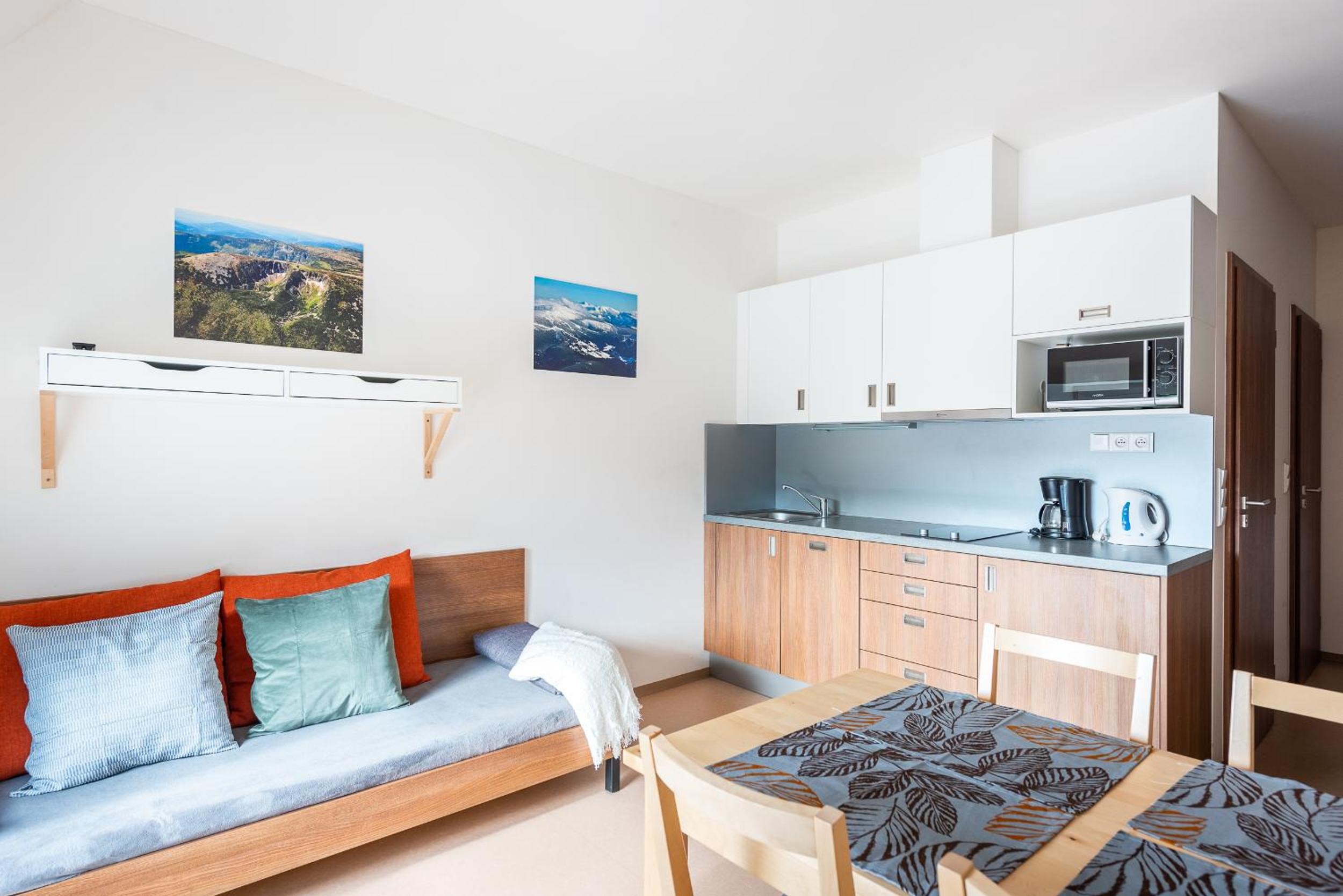 Standard Apartment photo 2