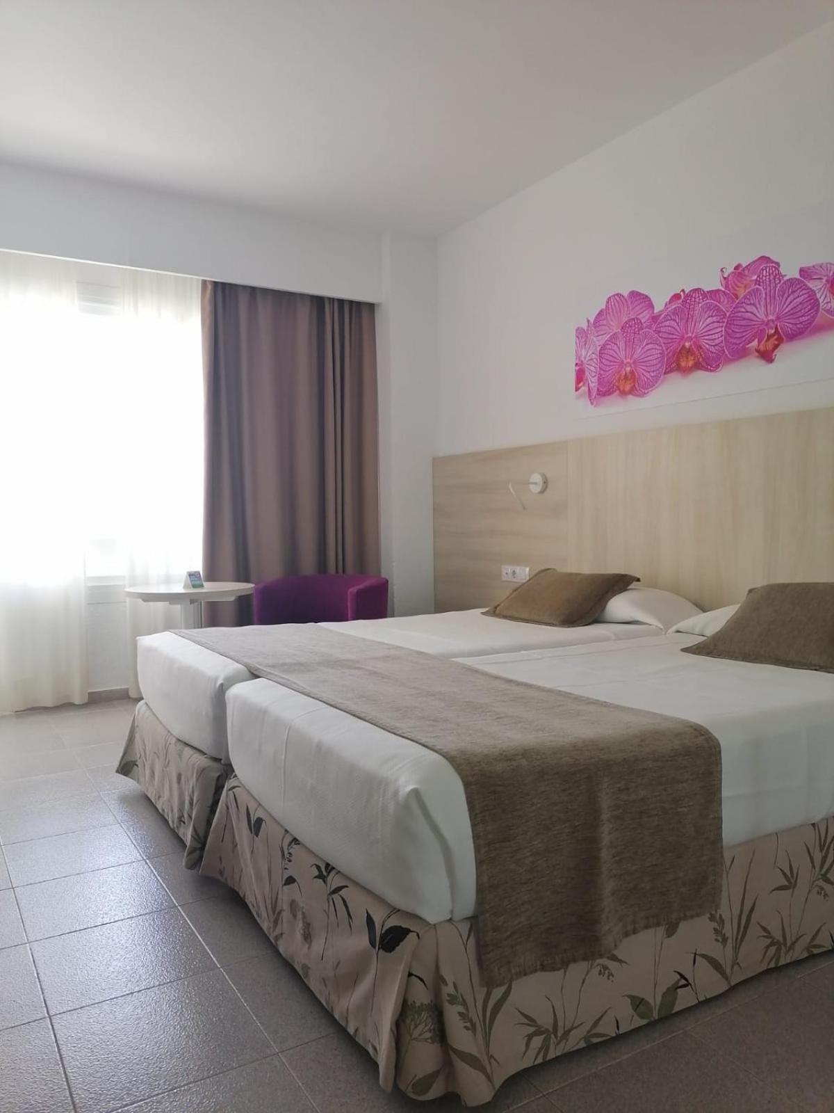 Habitación Estándar (1 Adulto)