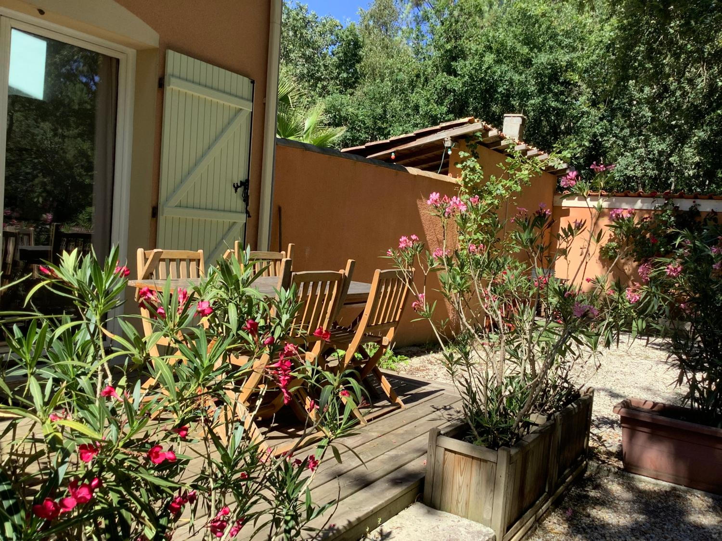 Studio with Terrace photo 3