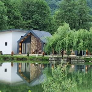 Bungalow - Photo 13