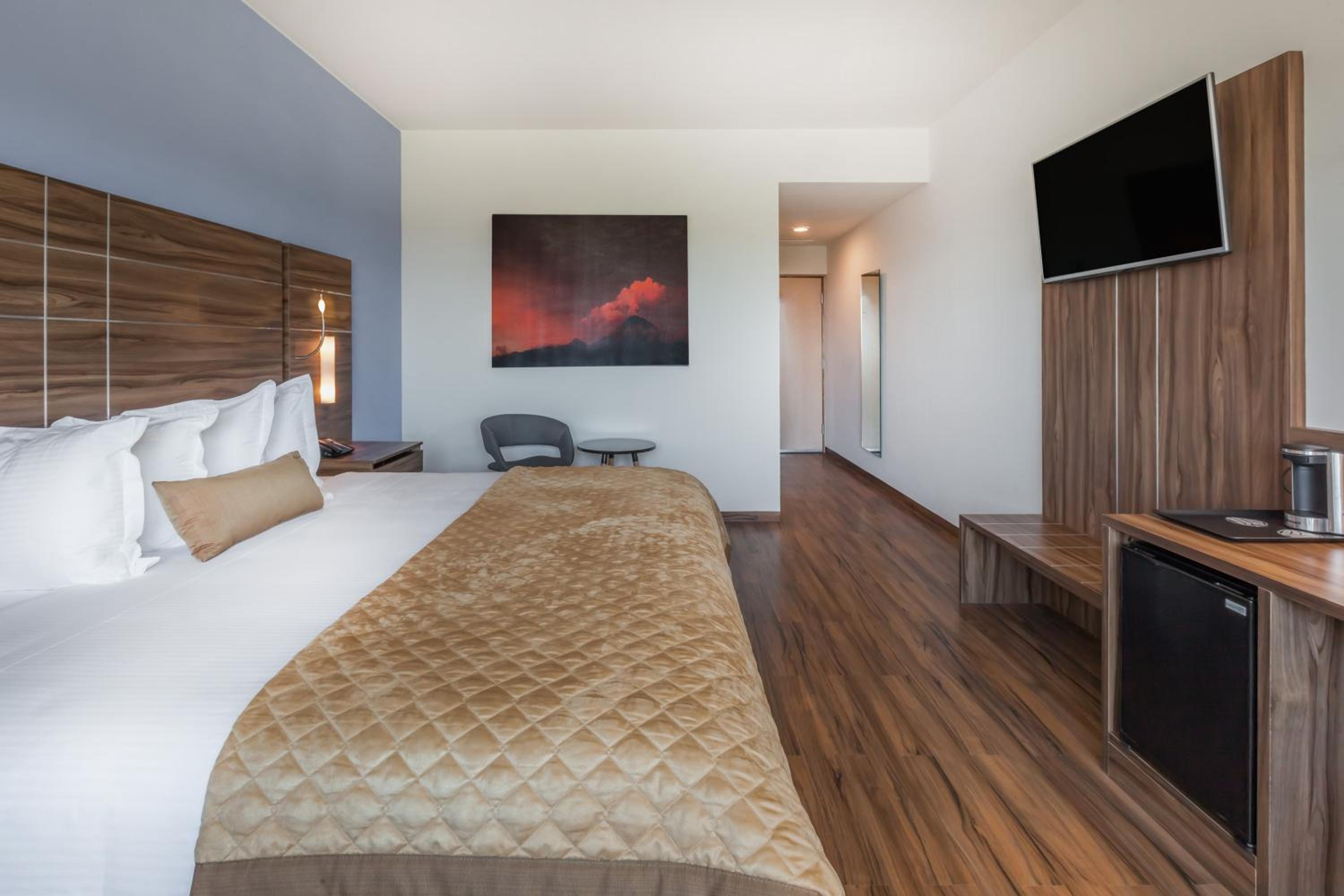 Deluxe Room 1 King - Photo 1