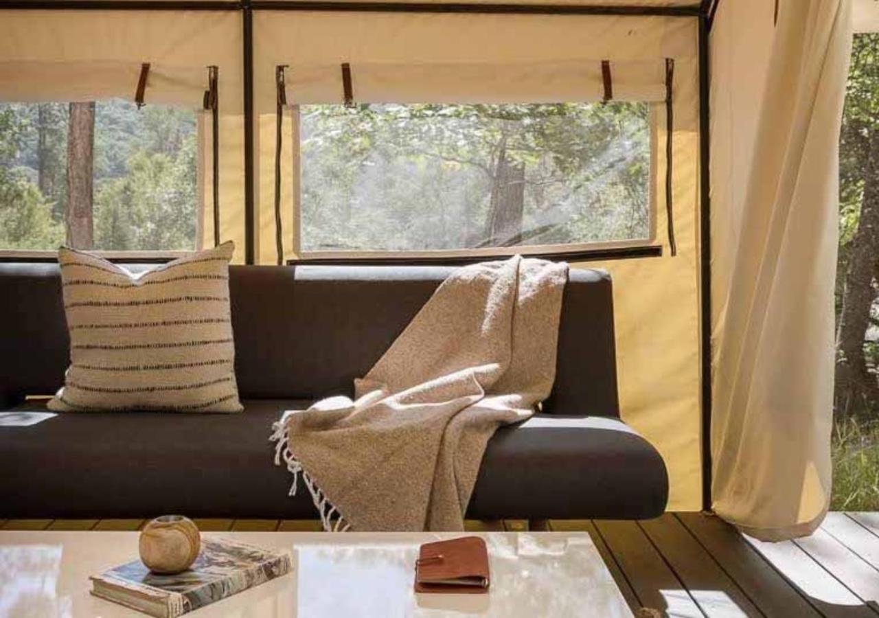 Premium BaseCamp Suite - Photo 11