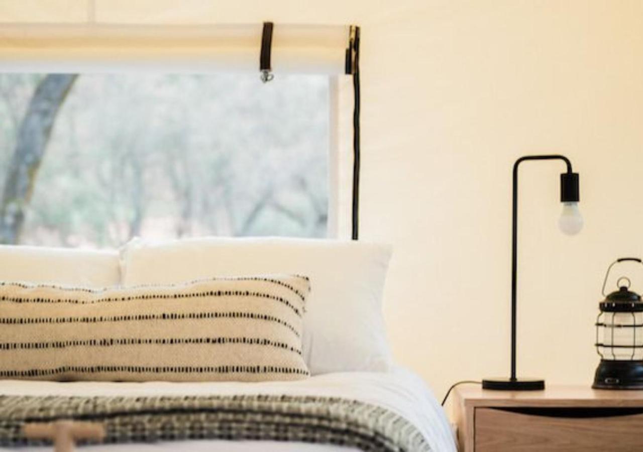 Premium BaseCamp Suite - Photo 2