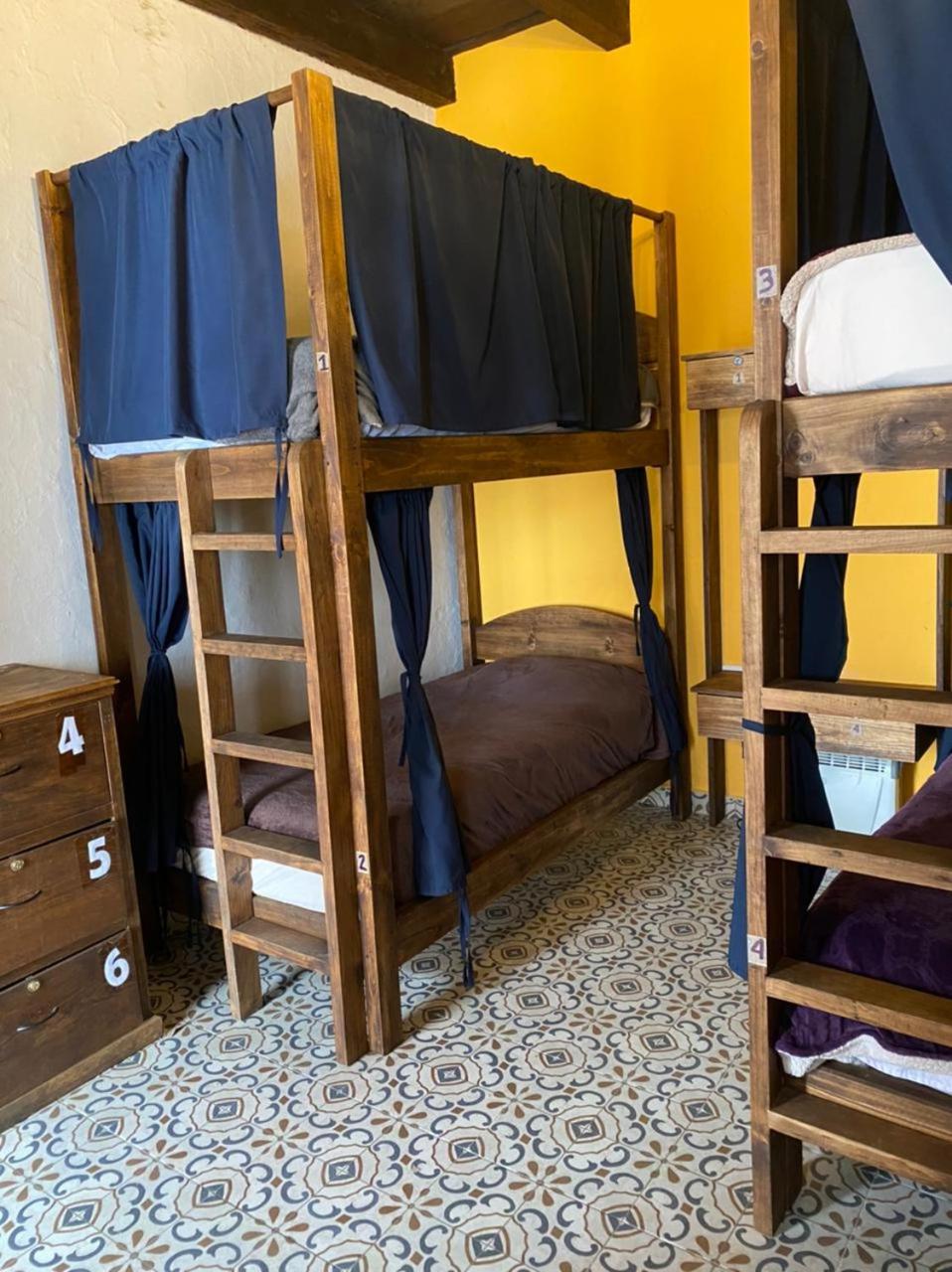 Bed in 6-Bed Female Dormitory Room photo 1