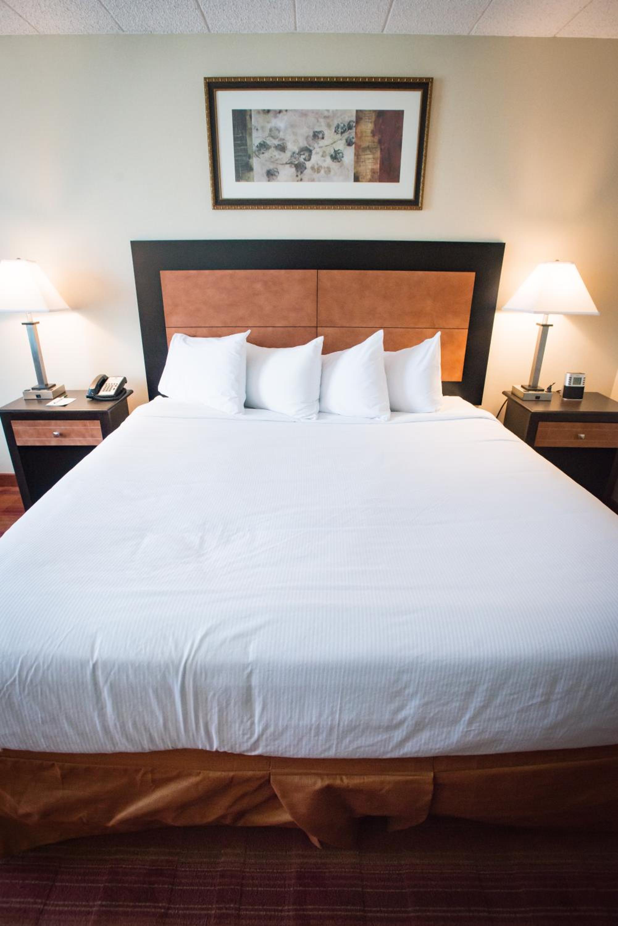 King Room - Photo 5