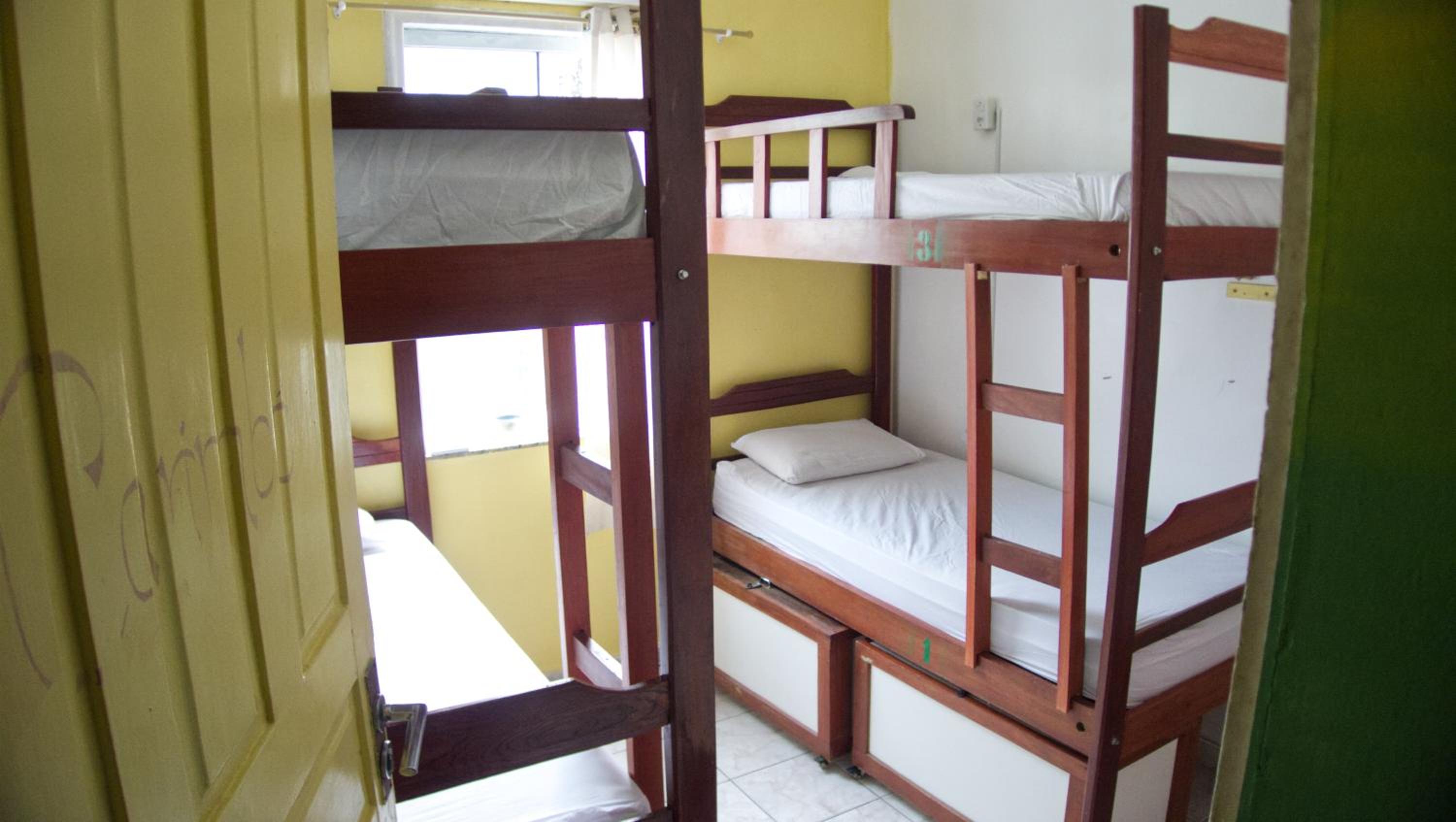 Bed in 4-Bed Female Dormitory Room photo 3